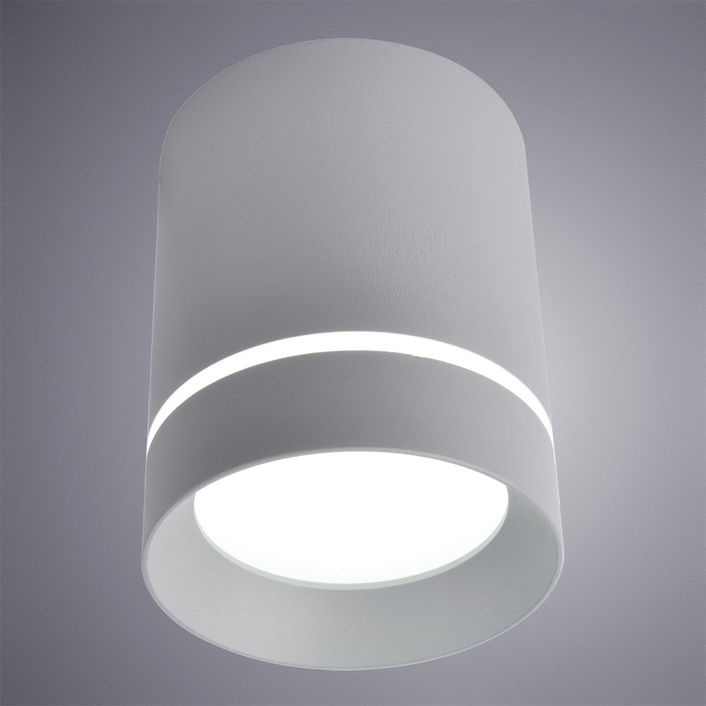 Потолочный светильник Arte Lamp Elle A1909PL-1GY, цвет белый - фото 2