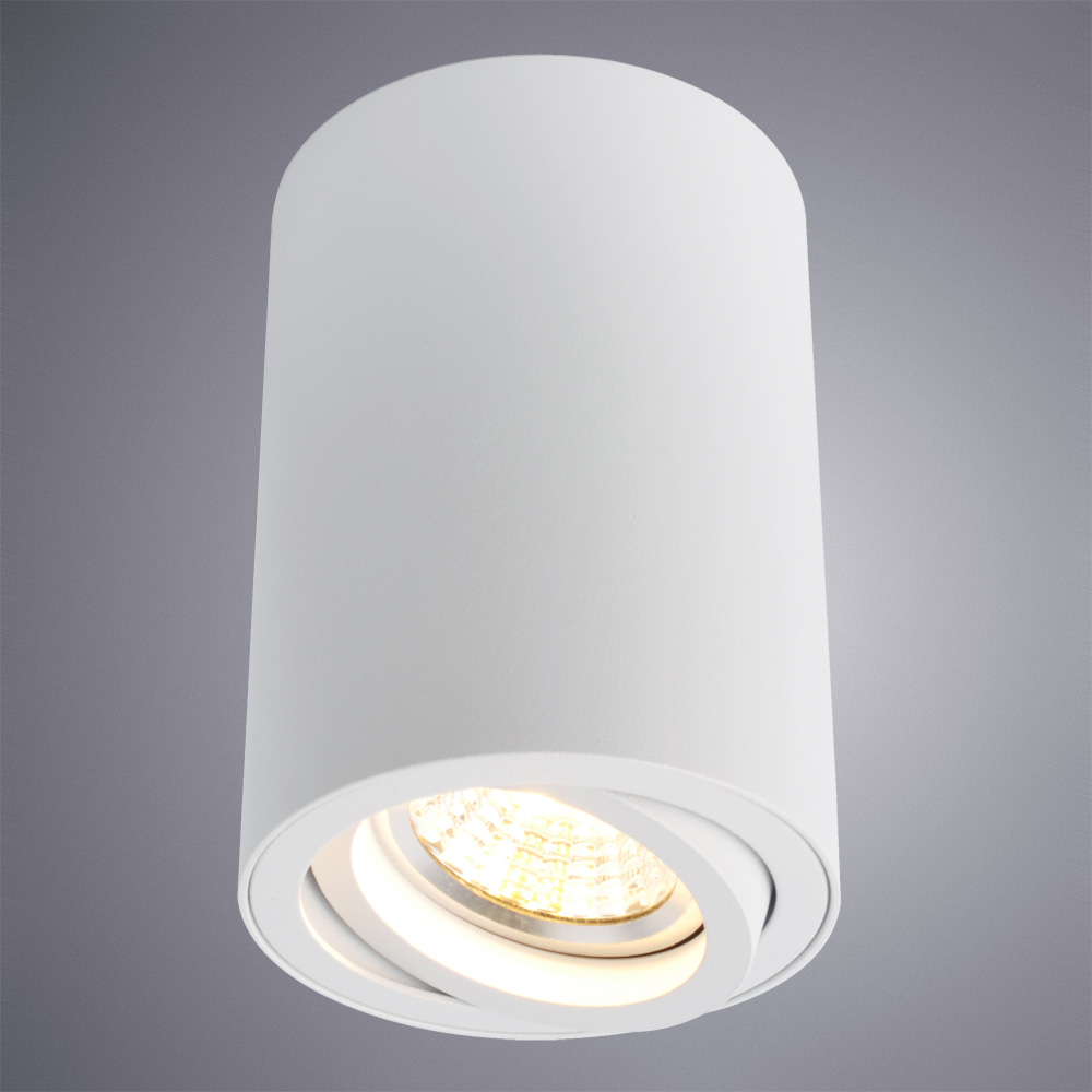 Светильник Arte Lamp Sentry A1560PL-1WH, цвет белый - фото 2