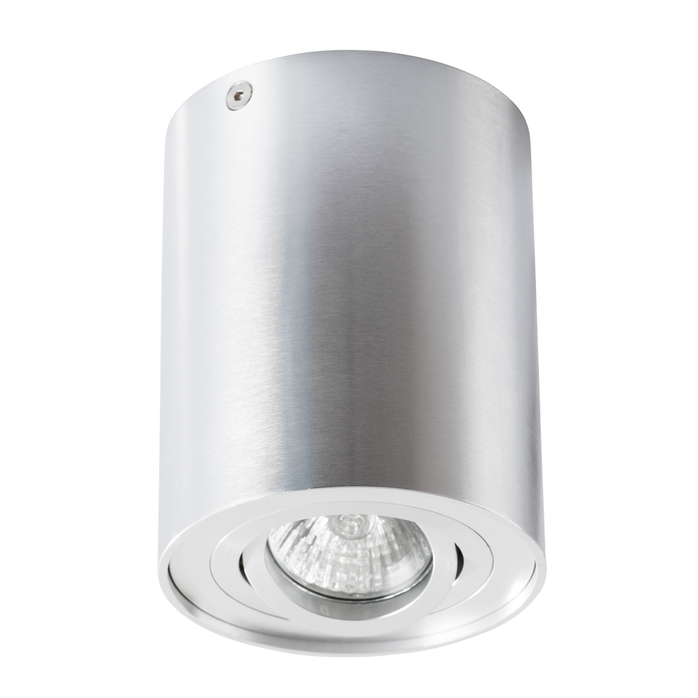Потолочный светильник Arte Lamp Falcon A5644PL-1SI, цвет серебристый - фото 1