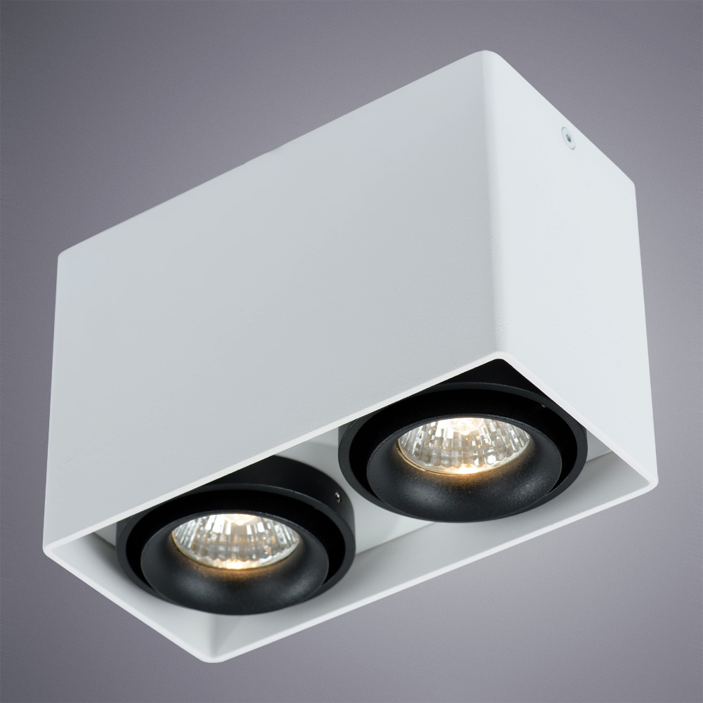Светильник Arte Lamp PICTOR A5655PL-2WH, цвет белый - фото 2