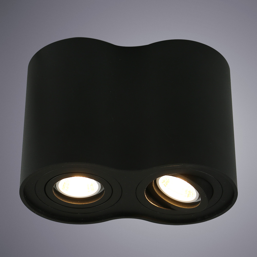 Потолочный светильник Arte Lamp Falcon A5644PL-2BK, цвет черный - фото 2