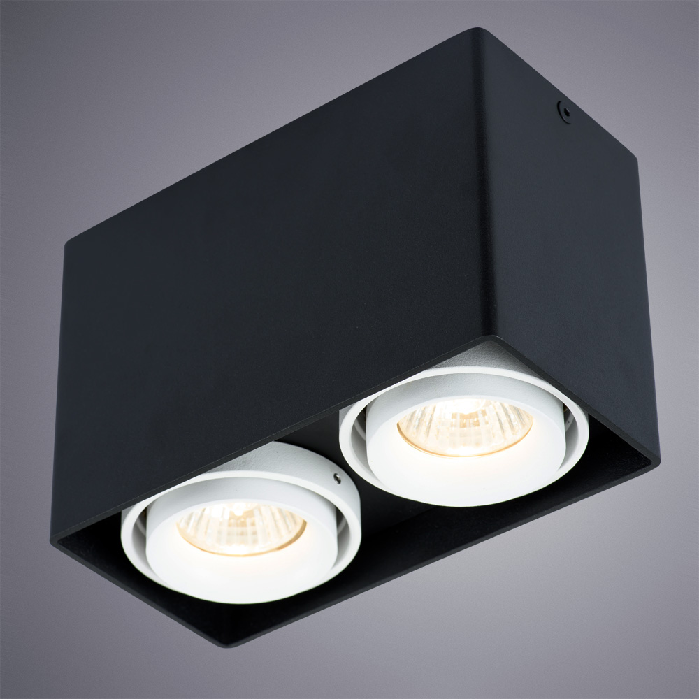 Светильник Arte Lamp PICTOR A5655PL-2BK, цвет черный - фото 2