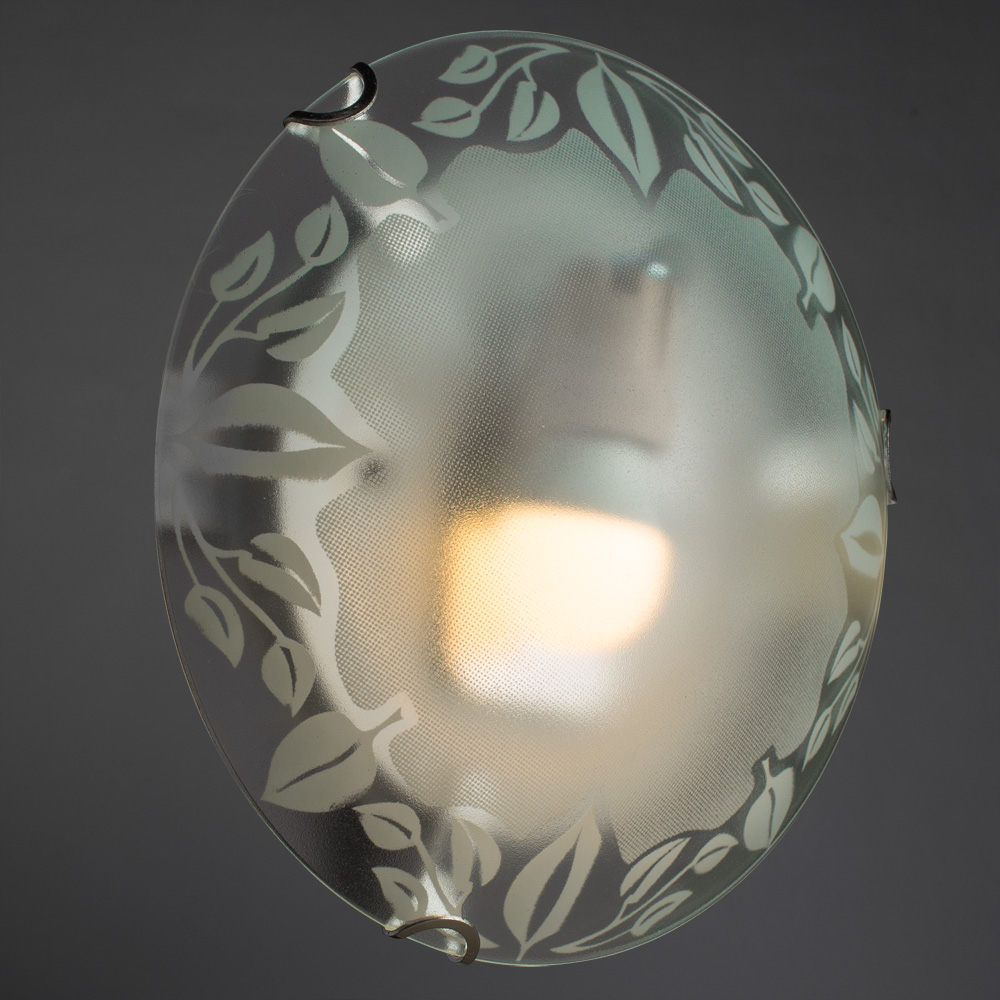 Светильник Arte Lamp Leaves A4020PL-1CC, цвет белый - фото 2