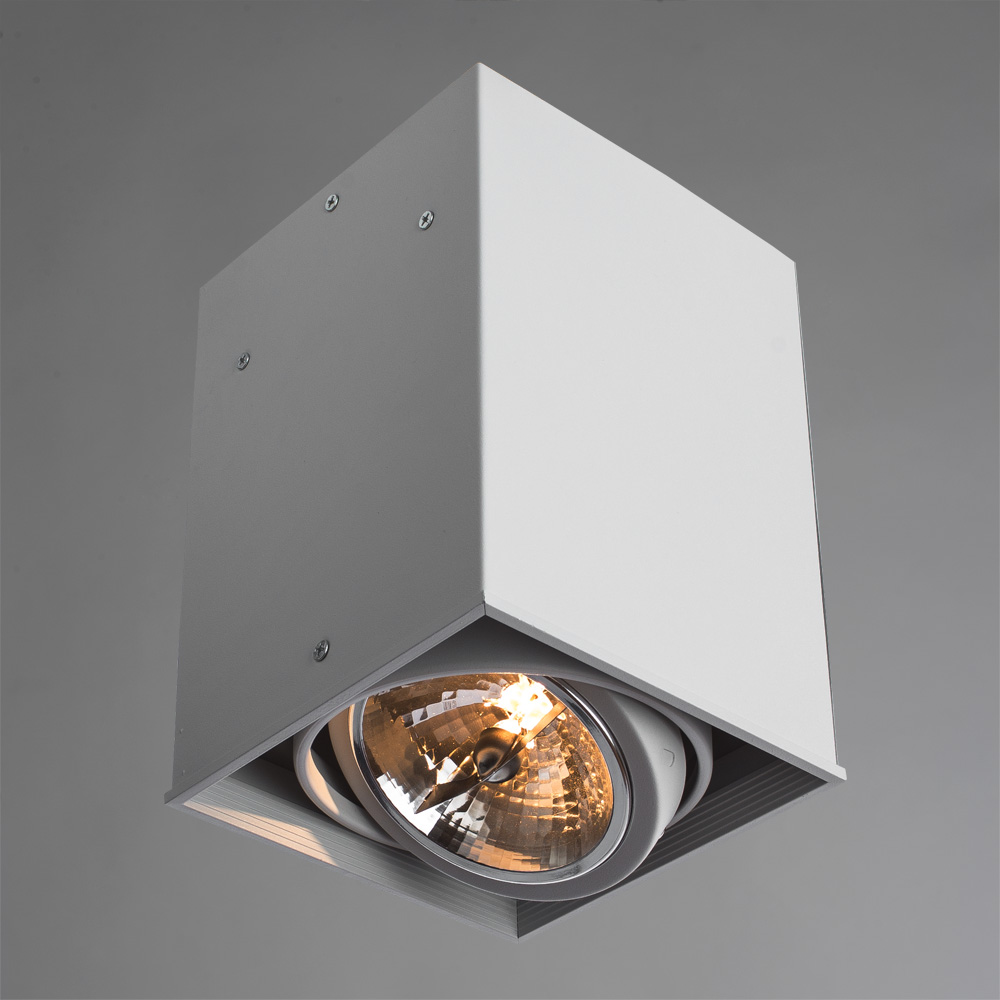Светильник Arte Lamp CARDANI GRANDE A5936PL-1WH, цвет белый - фото 2