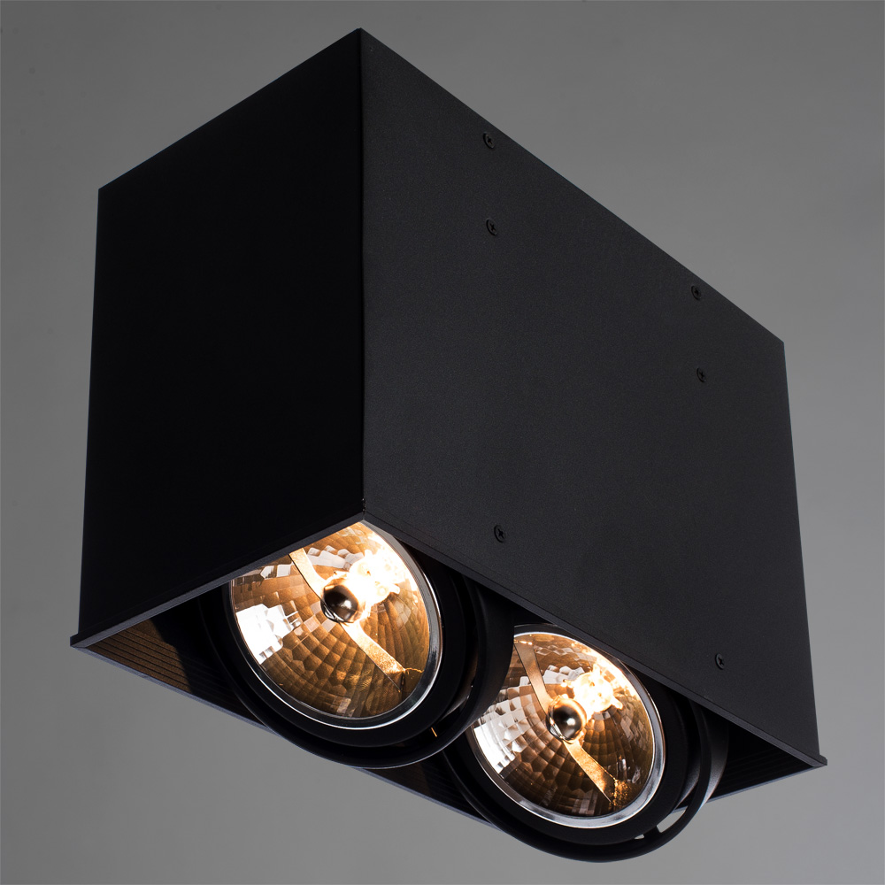 Светильник Arte Lamp CARDANI GRANDE A5936PL-2BK, цвет черный - фото 2