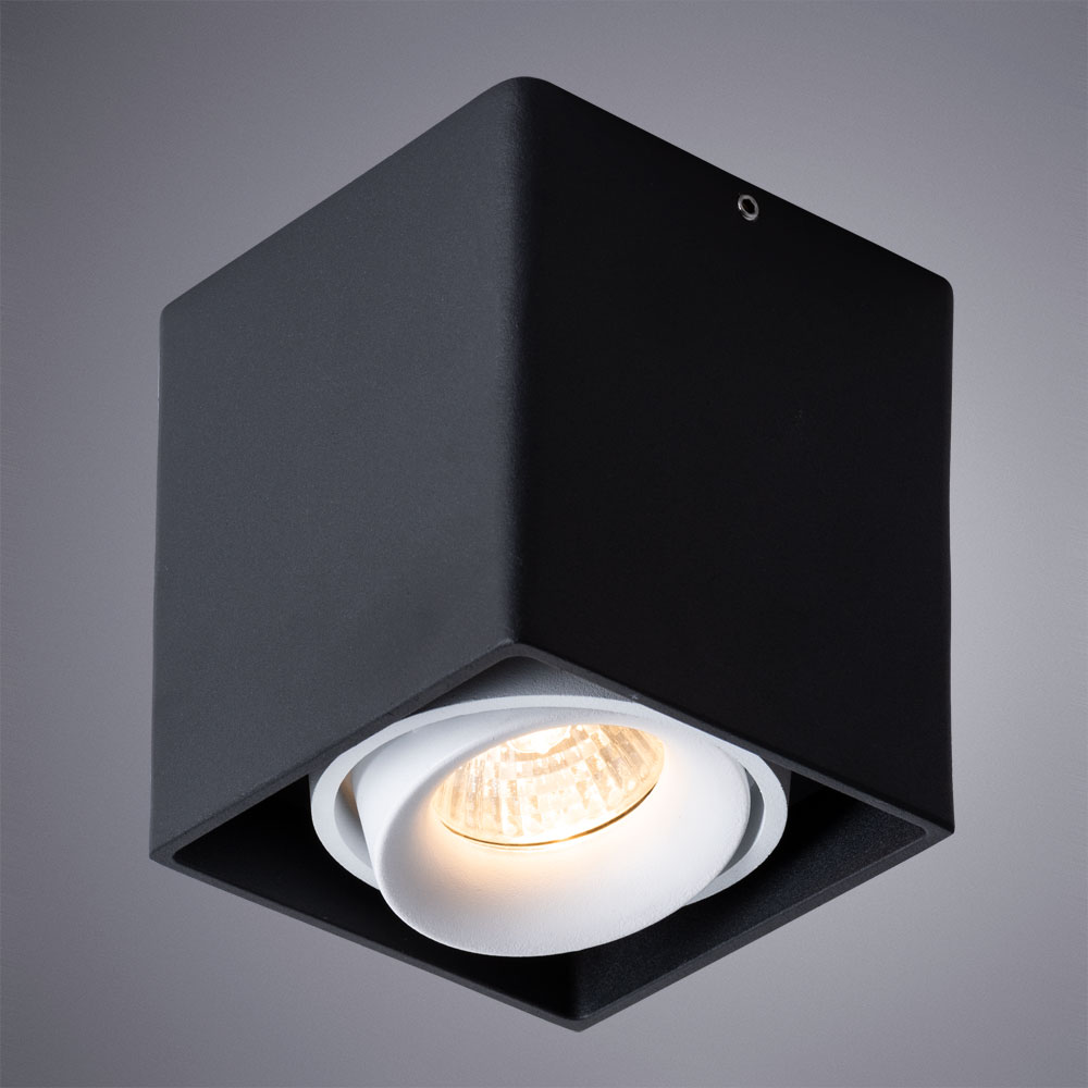 Потолочный светильник Arte Lamp Pictor A5654PL-1BK, цвет черный - фото 2