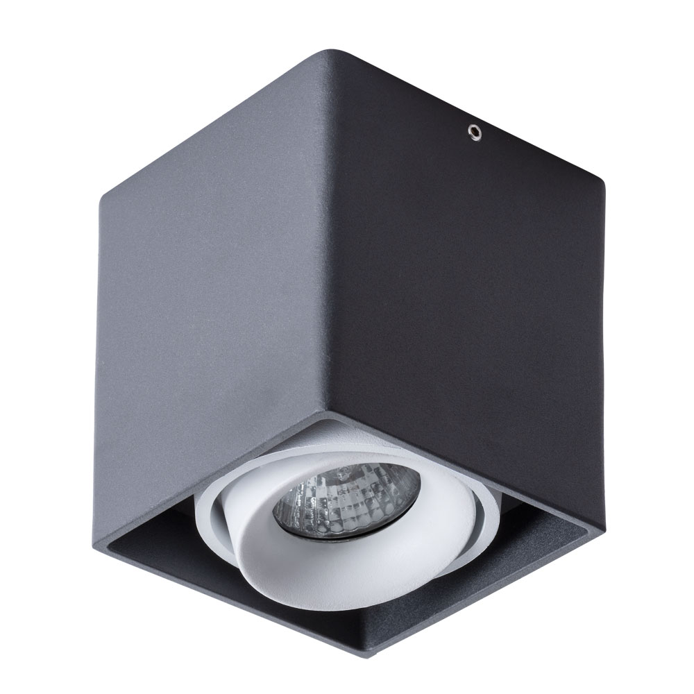 Потолочный светильник Arte Lamp Pictor A5654PL-1BK, цвет черный - фото 1