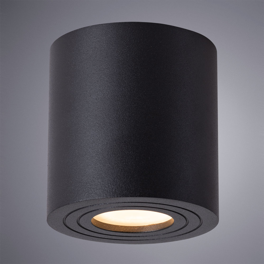 Потолочный светильник Arte Lamp Galopin A1460PL-1BK, цвет черный - фото 2