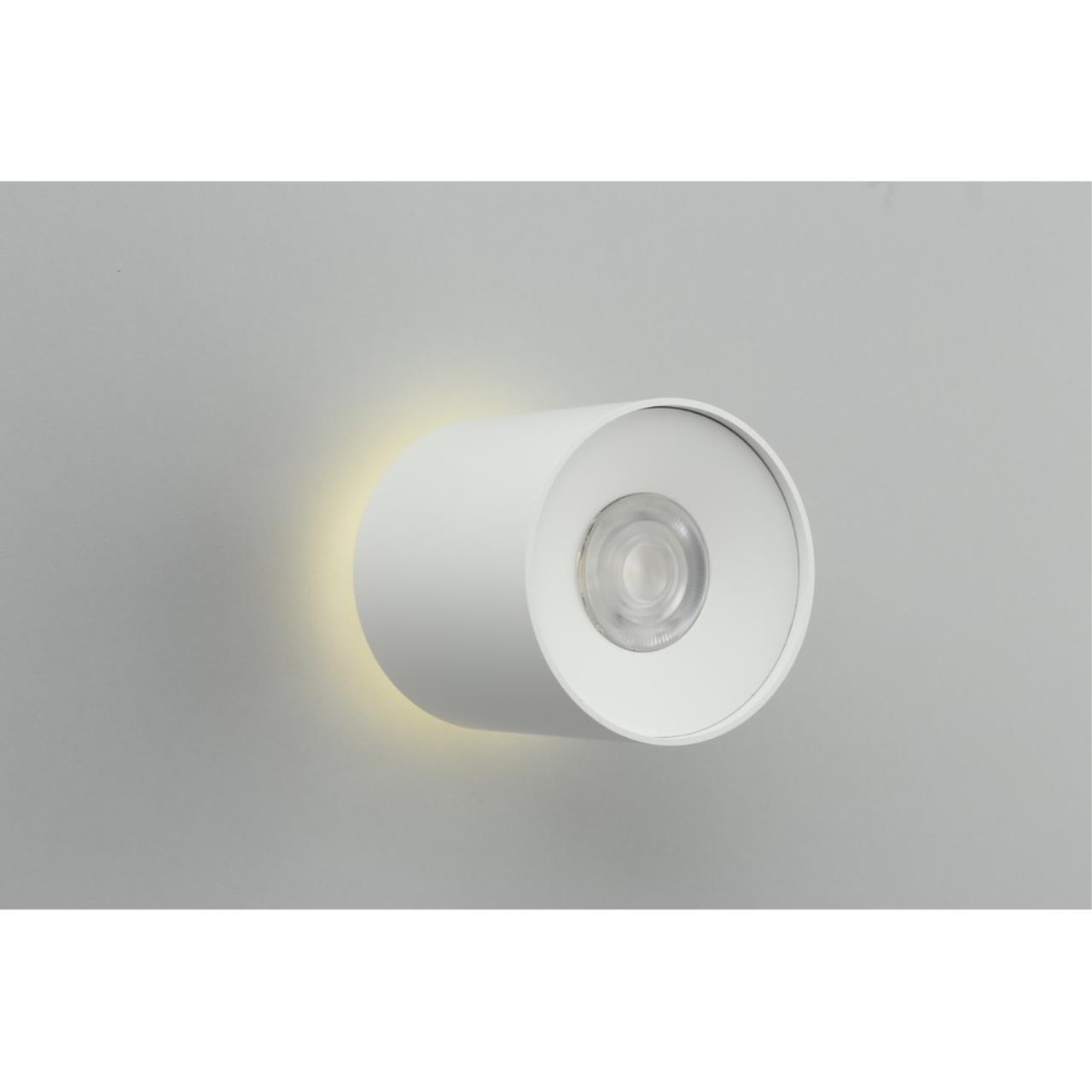 Светильник Omnilux Torino OML-100309-16, цвет белый - фото 3