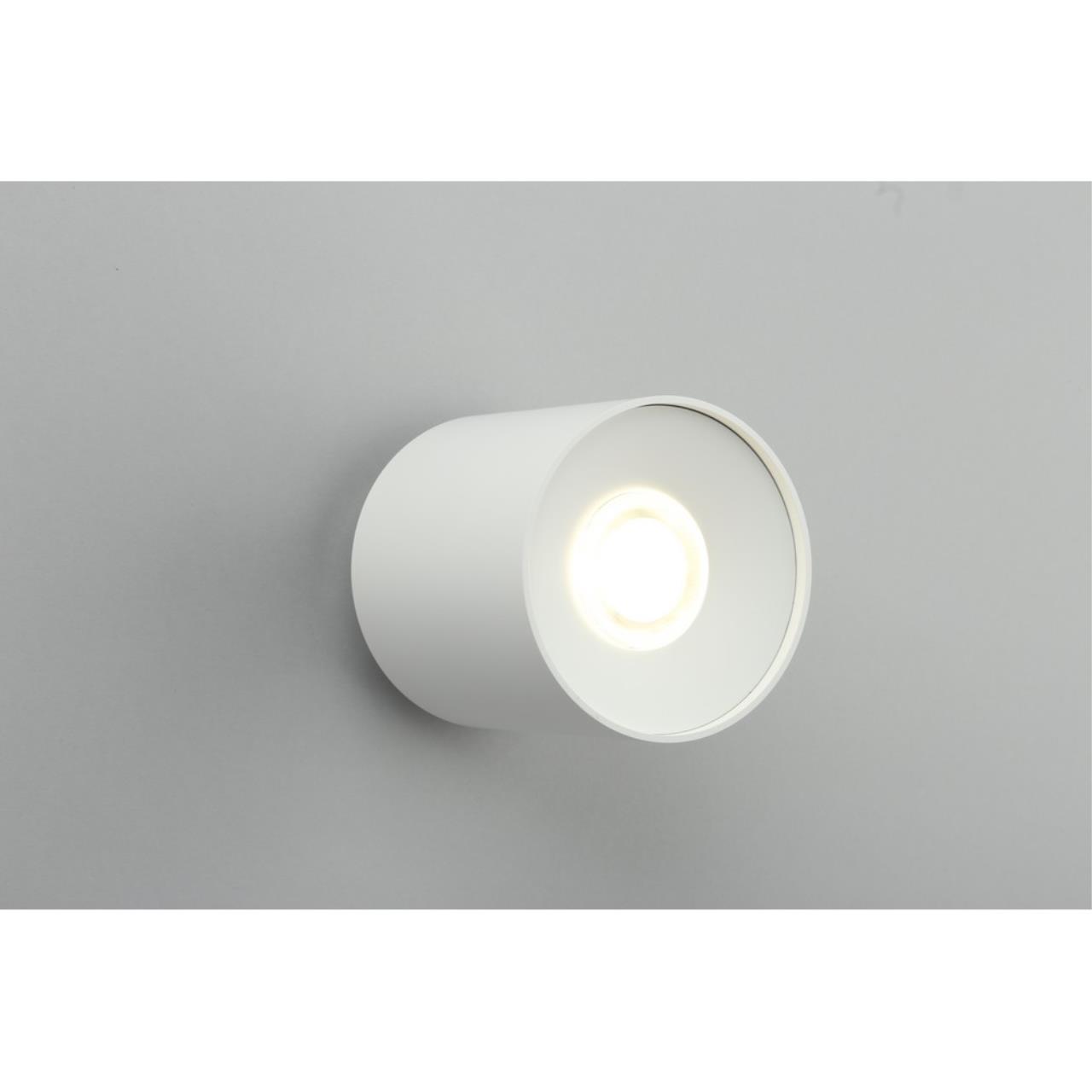 Светильник Omnilux Torino OML-100309-16, цвет белый - фото 4