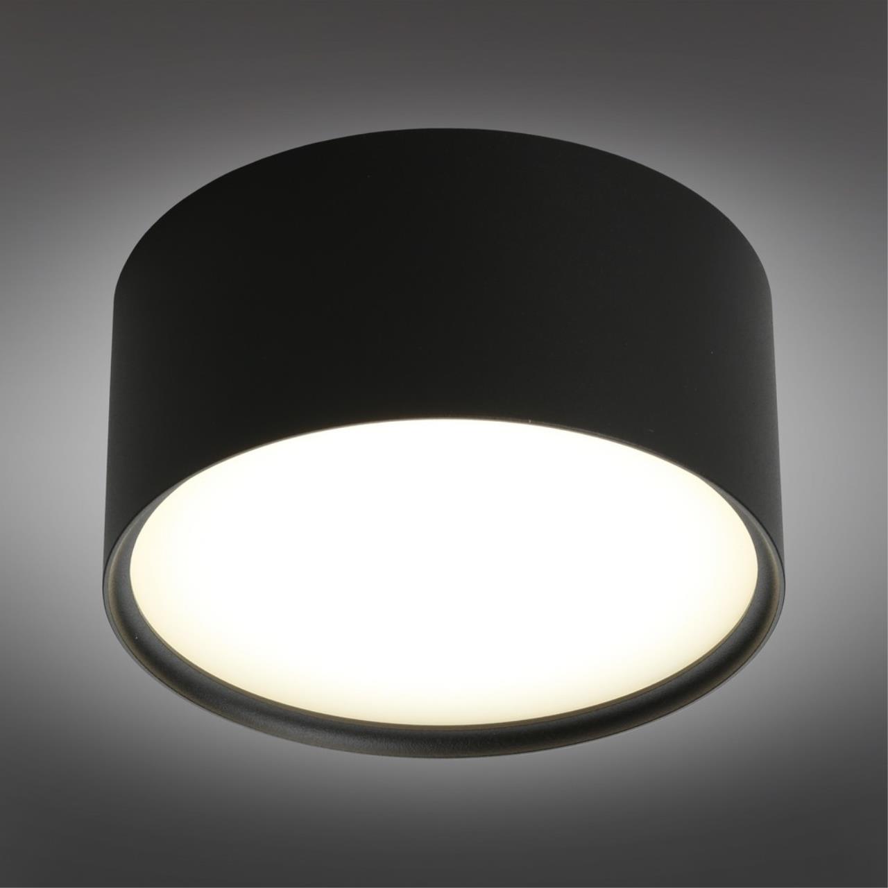 Светильник Omnilux Salentino OML-100919-12, цвет черный - фото 2