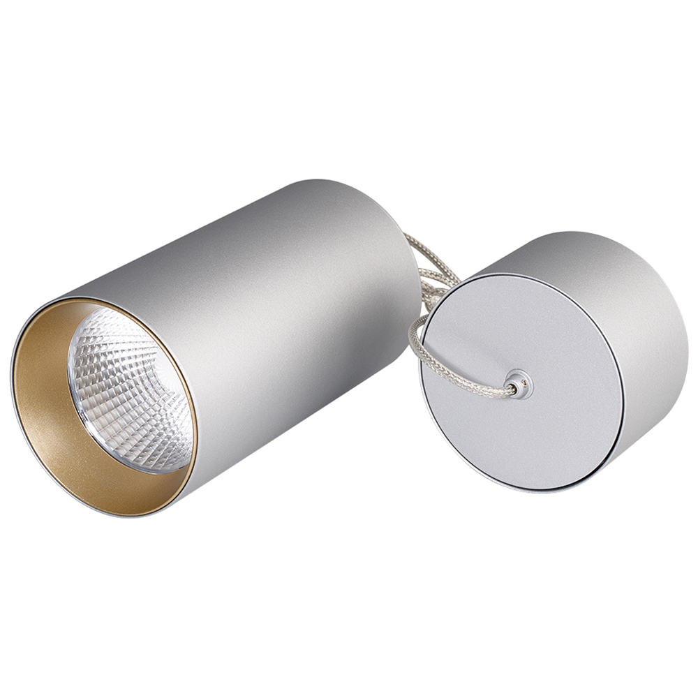 Светильник подвесной SP-POLO-R85-2-15W Day White 40deg (Silver, Gold Ring) Arlight 022972, цвет серебристый - фото 1