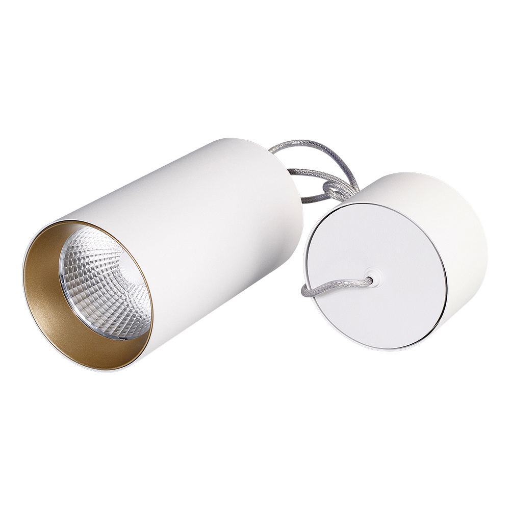 Светильник подвесной SP-POLO-R85-2-15W Warm White 40deg (White, Gold Ring) Arlight 022944, цвет без плафона - фото 1