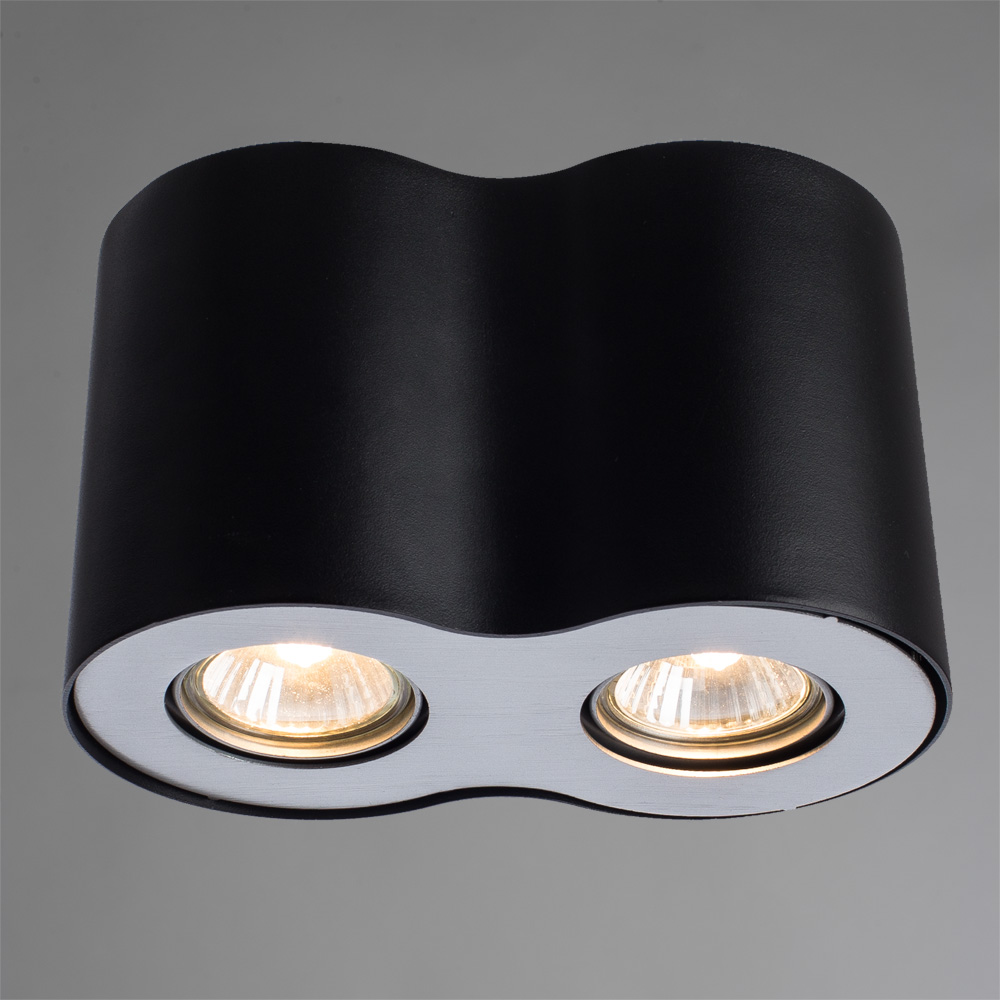 Потолочный светильник Arte Lamp Falcon A5633PL-2BK, цвет черный - фото 2