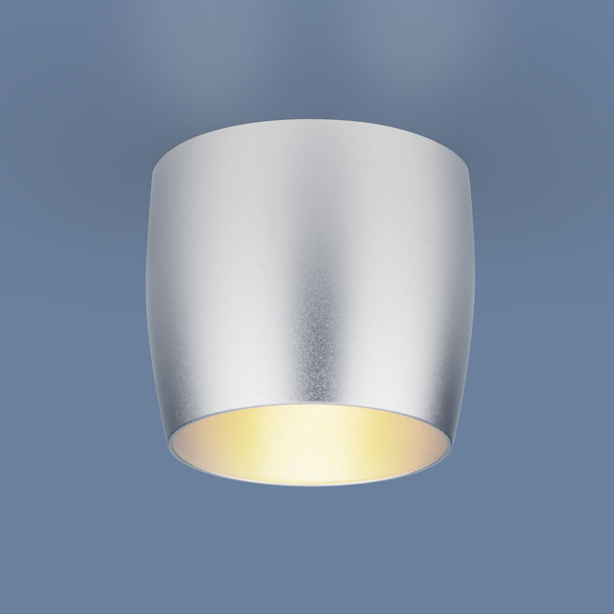 Встраиваемый светильник Elektrostandard 6074 MR16 4690389135903, цвет серебристый a043976 - фото 1