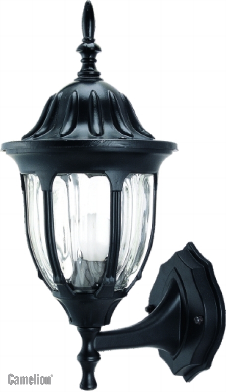 Уличный Светильник Camelion 4501 C02, цвет черный - фото 1