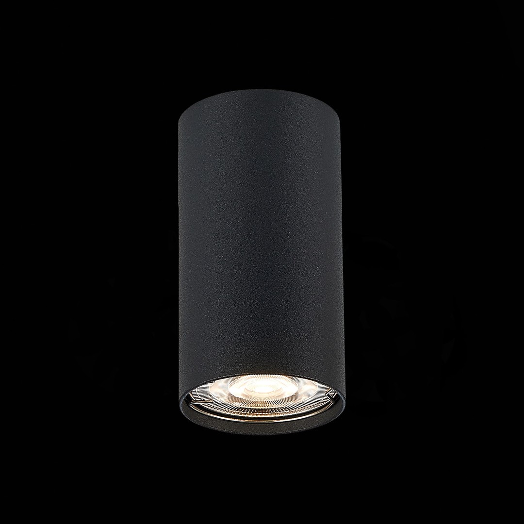 Светильник St Luce ST110.407.01, цвет черный - фото 2