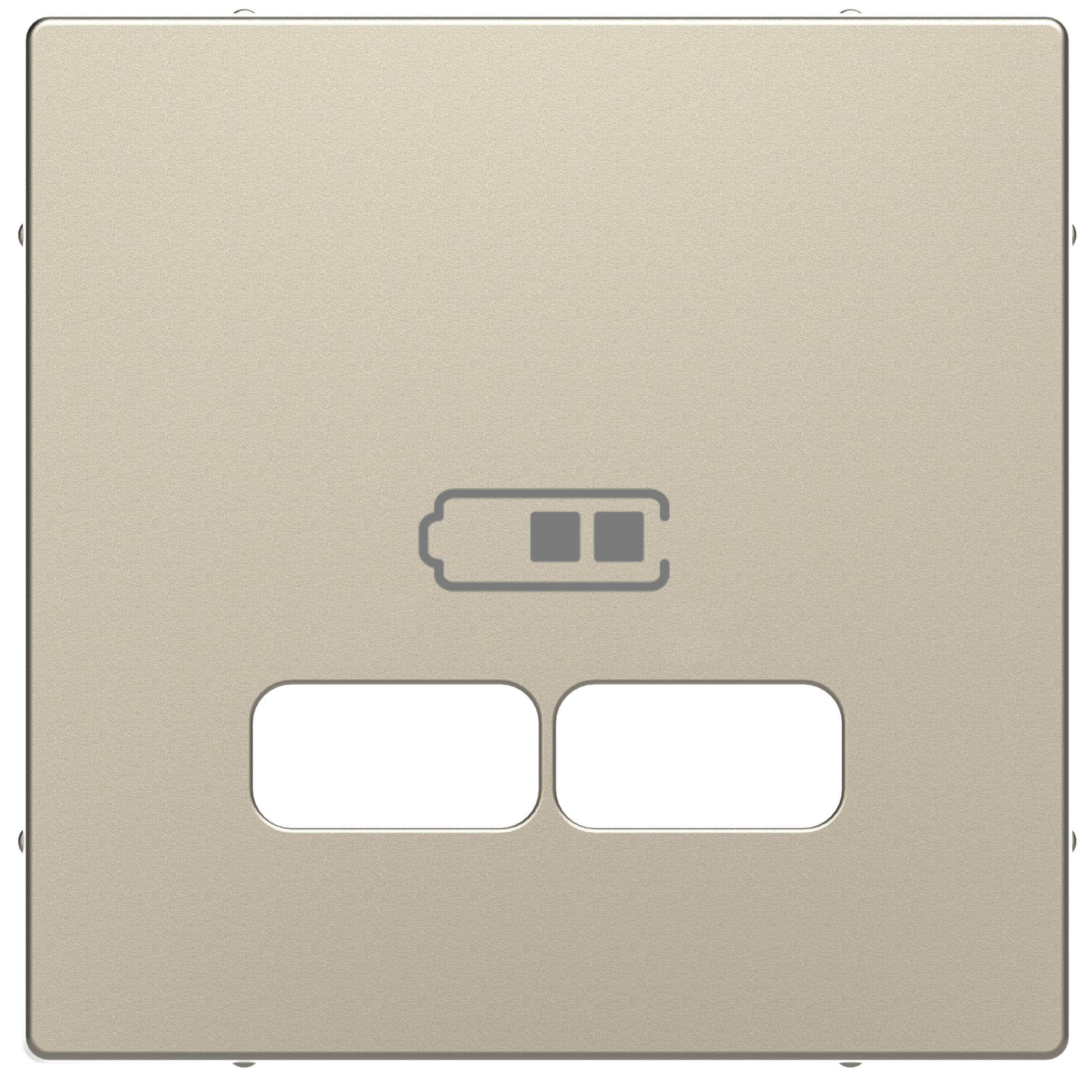 Накладка центральная для USB механизма 2,1А Schneider Electric MERTEN D-Life MTN4367-6033 - фото 1