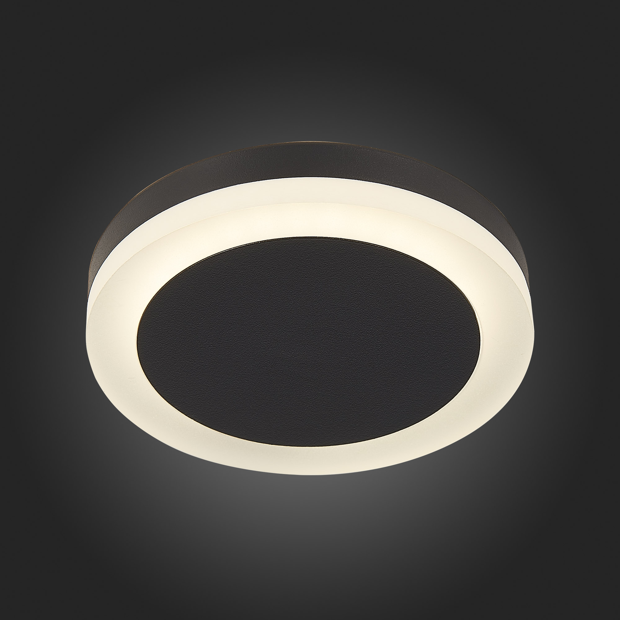 Встраиваемый светильник St Luce CIAMELLA ST104.442.06, цвет белый;черный - фото 6