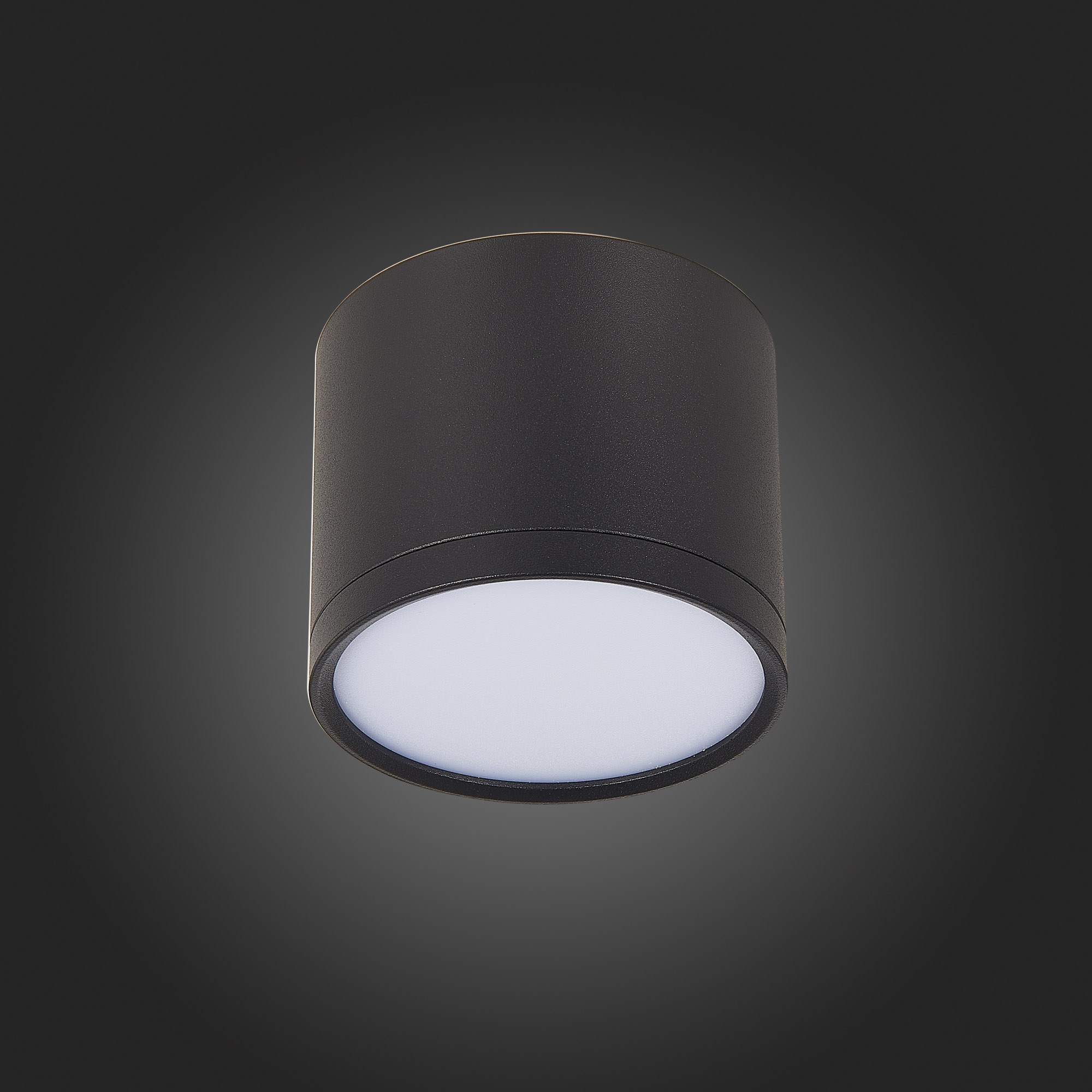Светильник St Luce RENE ST113.432.09, цвет черный - фото 4