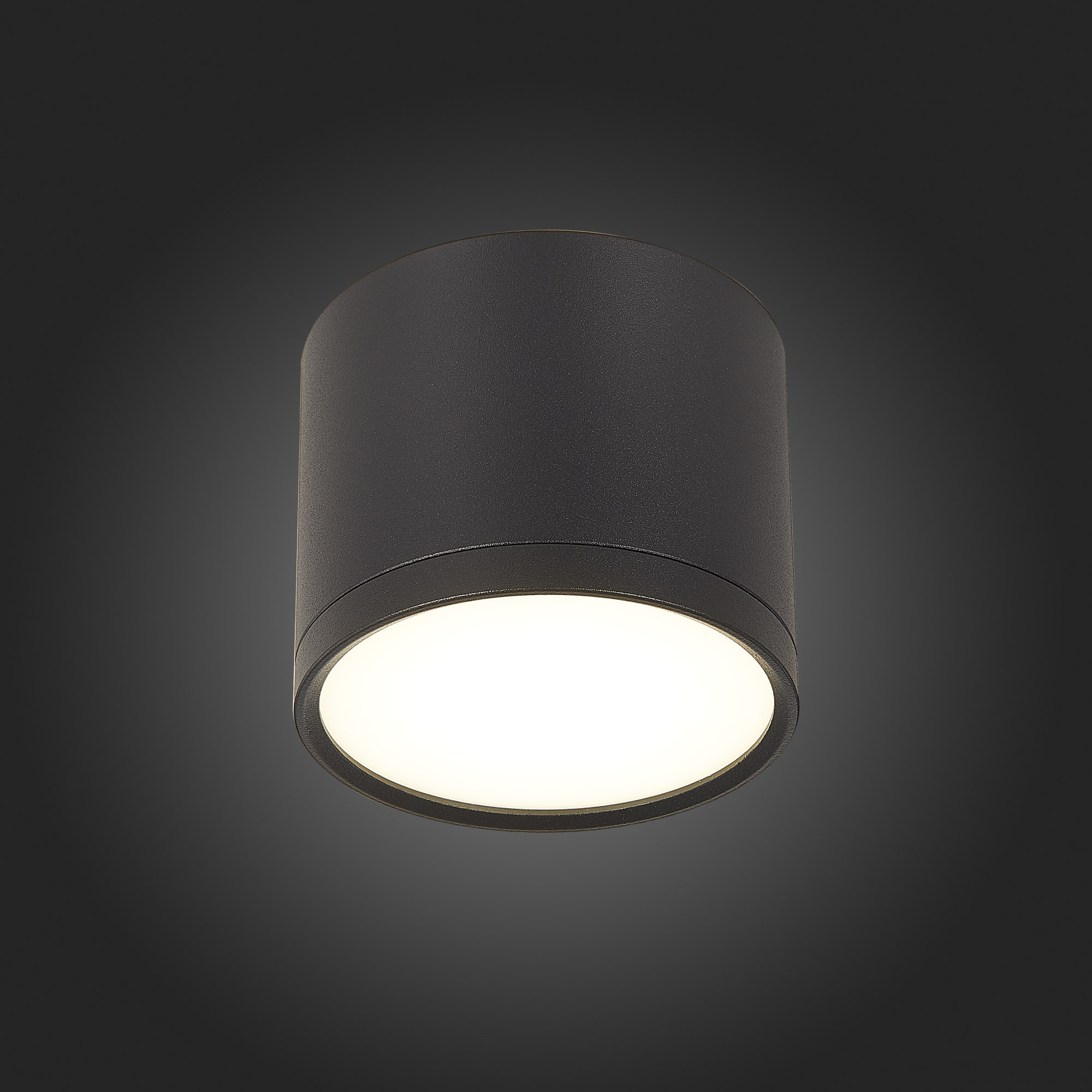 Светильник St Luce RENE ST113.442.09, цвет черный - фото 3
