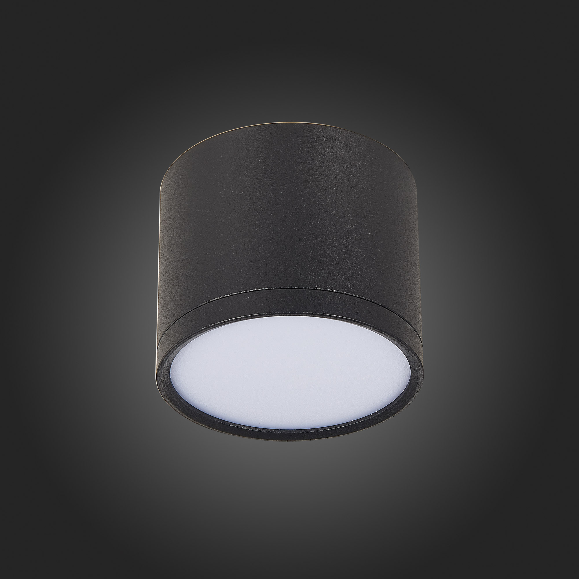 Светильник St Luce RENE ST113.442.09, цвет черный - фото 4