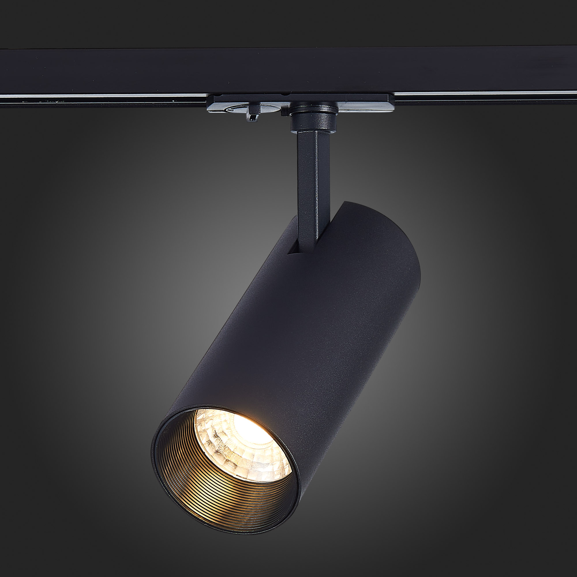 Трековый светильник St Luce MONO ST350.436.15.36, цвет черный - фото 4