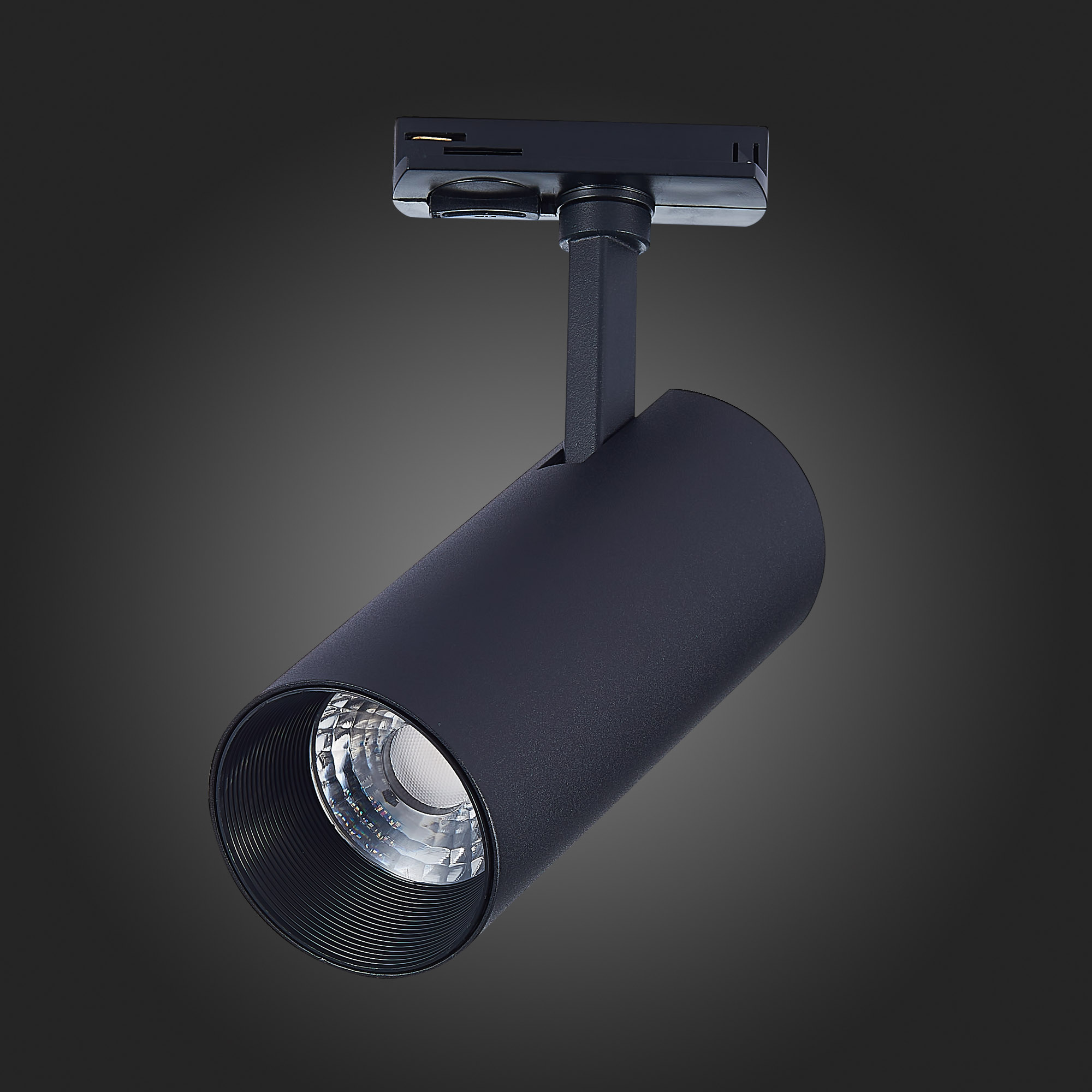 Трековый светильник St Luce MONO ST350.436.15.36, цвет черный - фото 6