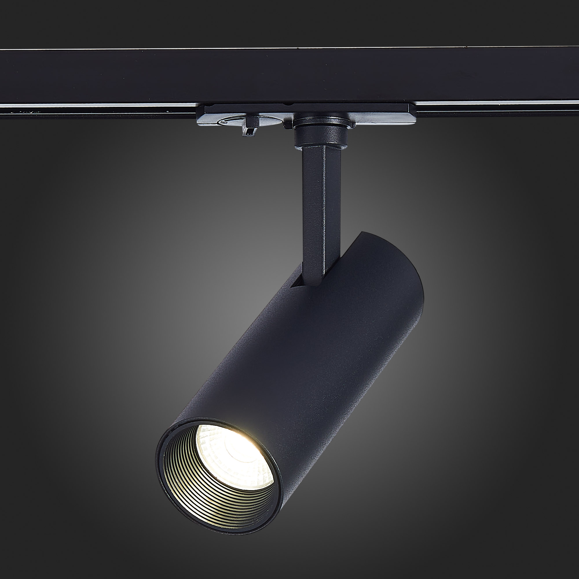 Трековый светильник St Luce MONO ST350.446.10.36, цвет черный - фото 4
