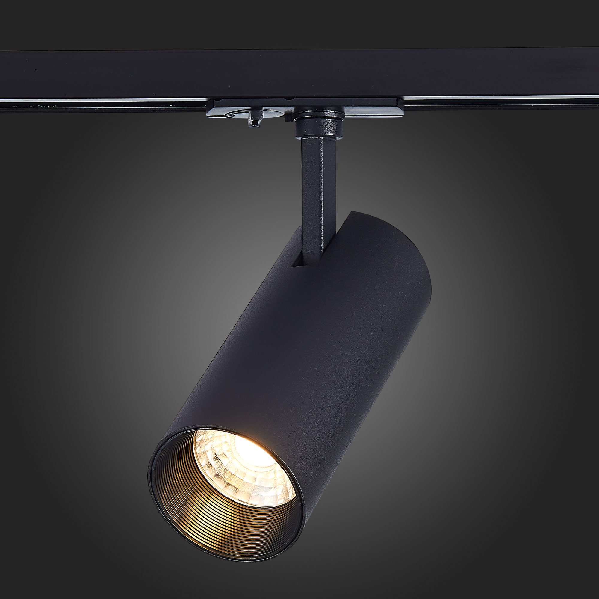Трековый светильник St Luce MONO ST350.446.15.36, цвет черный - фото 4