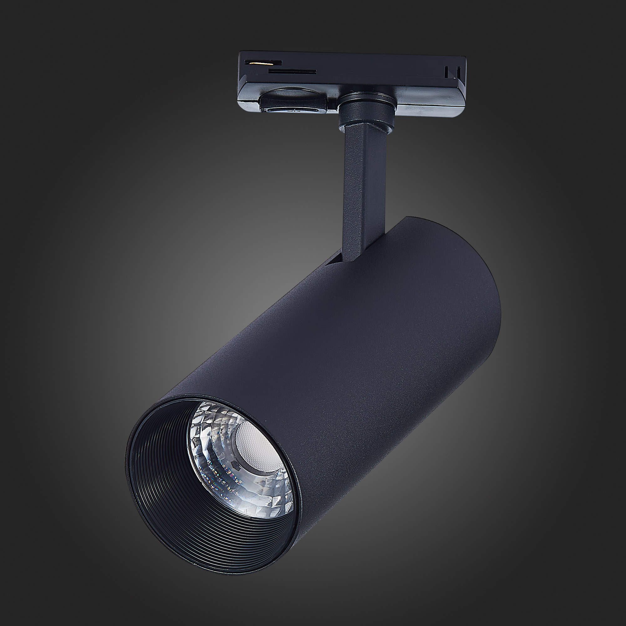 Трековый светильник St Luce MONO ST350.446.15.36, цвет черный - фото 6