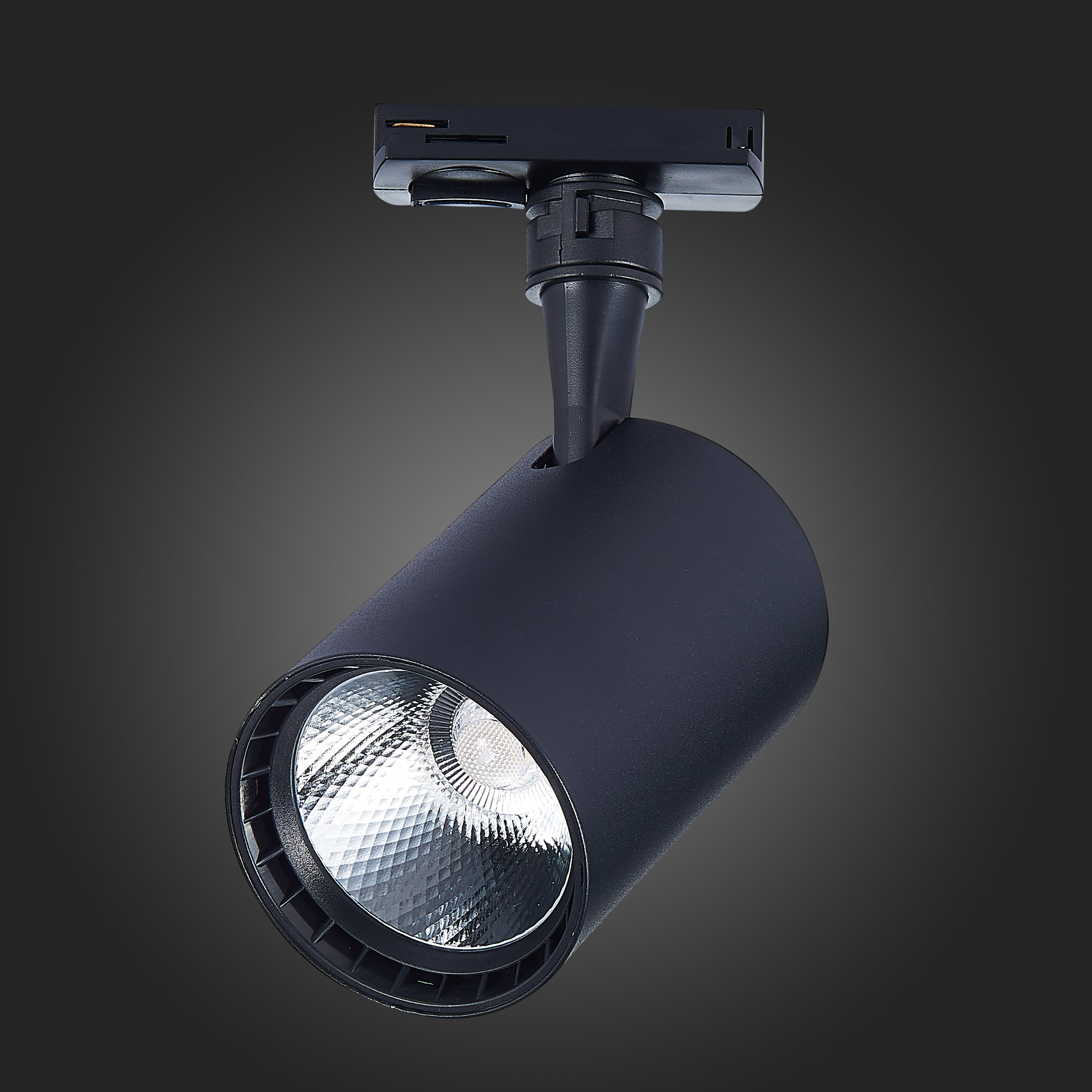 Трековый светильник St Luce CAMI ST351.436.20.36, цвет черный - фото 6