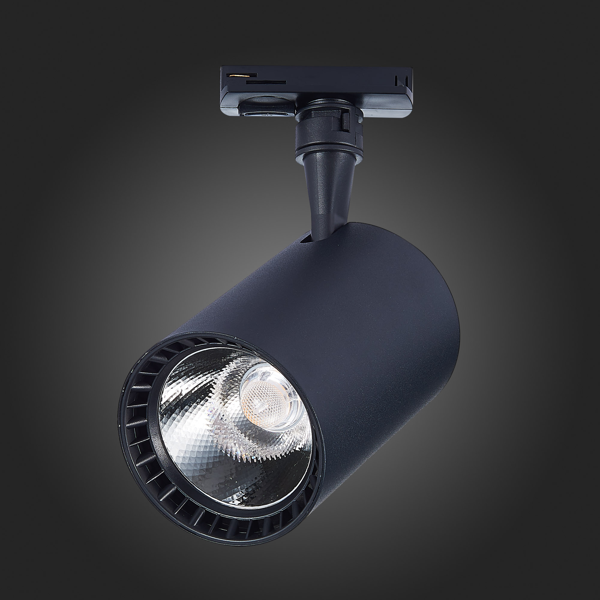 Трековый светильник St Luce CAMI ST351.436.30.36, цвет черный - фото 6