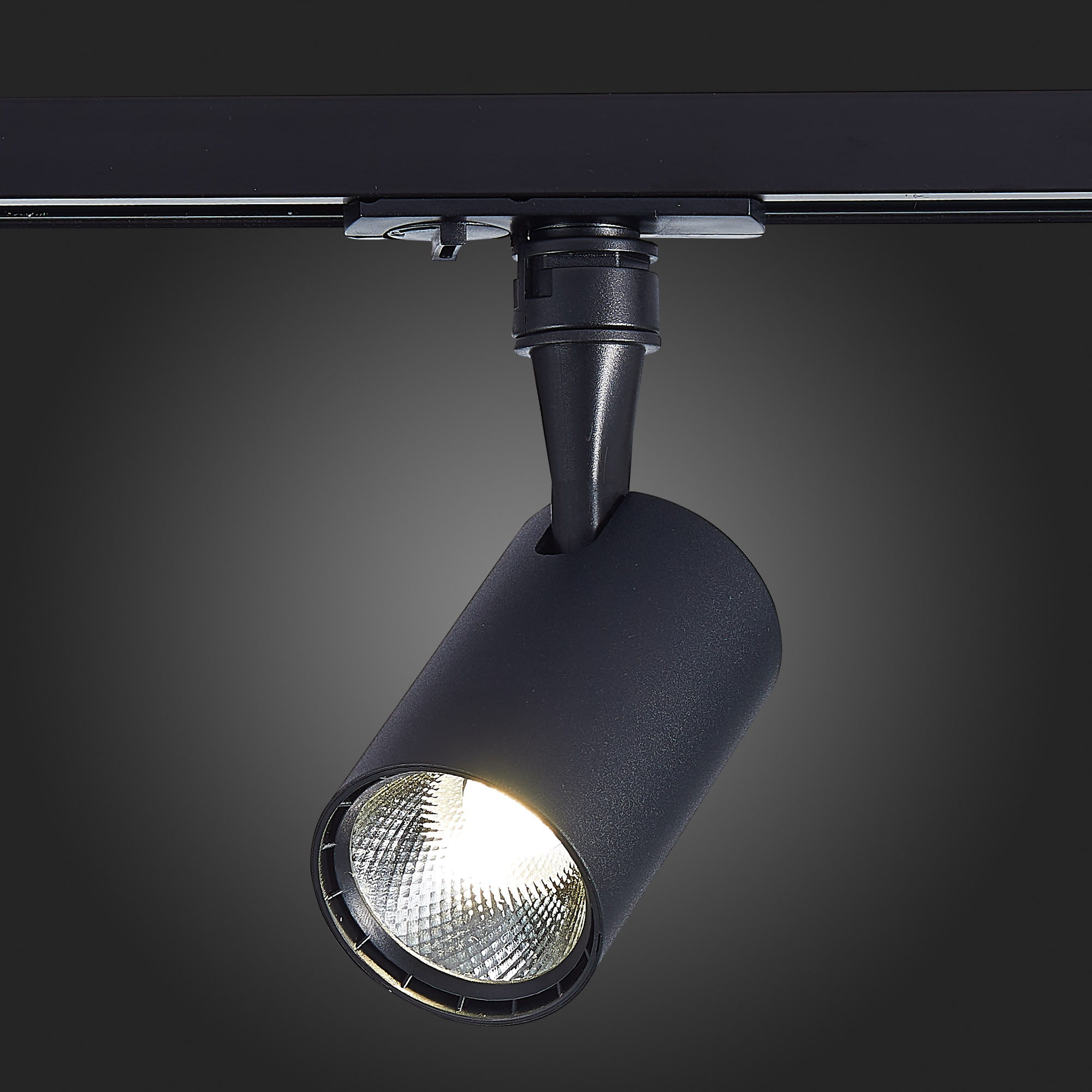 Трековый светильник St Luce CAMI ST351.446.10.36, цвет черный - фото 4