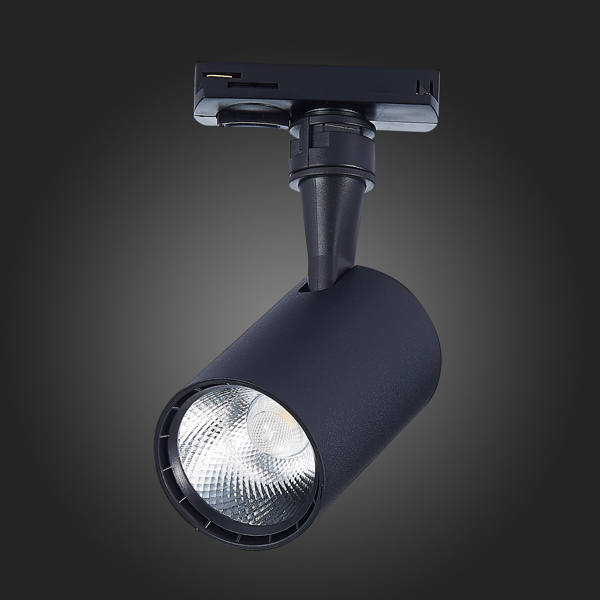 Трековый светильник St Luce CAMI ST351.446.10.36, цвет черный - фото 6