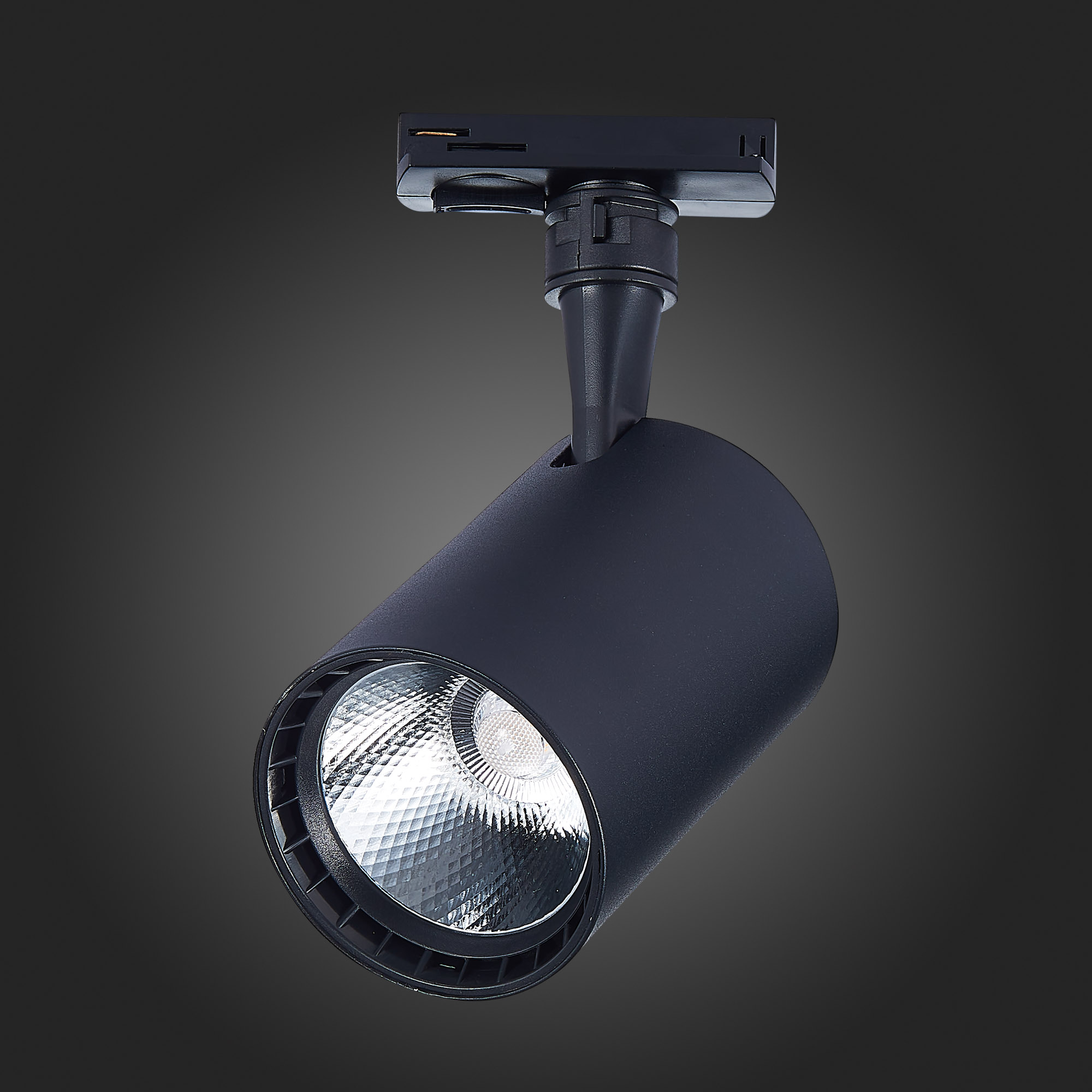Трековый светильник St Luce CAMI ST351.446.15.36, цвет черный - фото 6