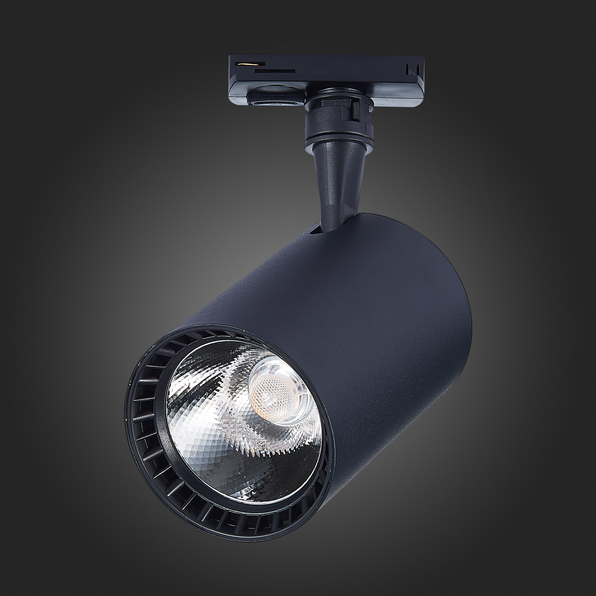 Трековый светильник St Luce CAMI ST351.446.30.36, цвет черный - фото 6