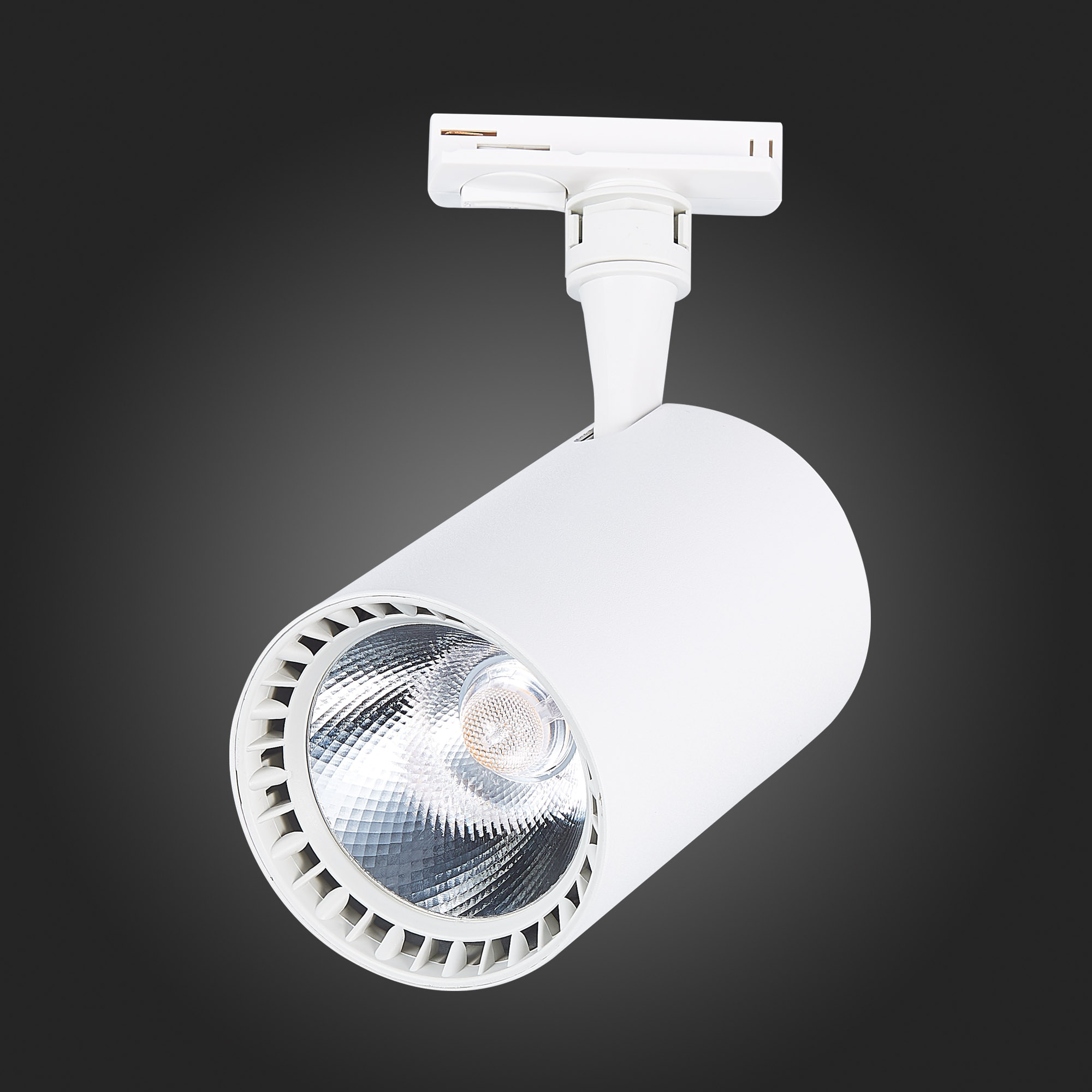 Трековый светильник St Luce CAMI ST351.536.30.36, цвет белый - фото 6