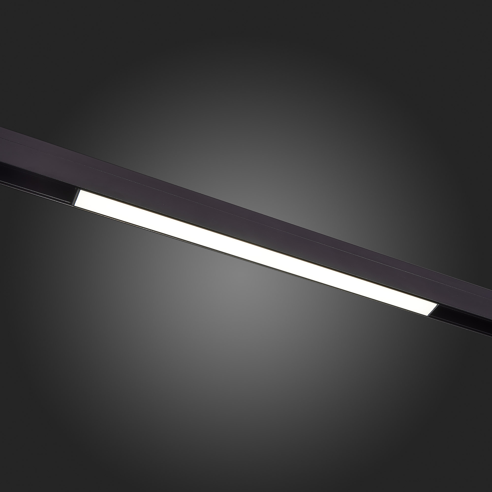 Магнитный трековый светильник St Luce STANDI ST360.436.12, цвет черный;белый - фото 3