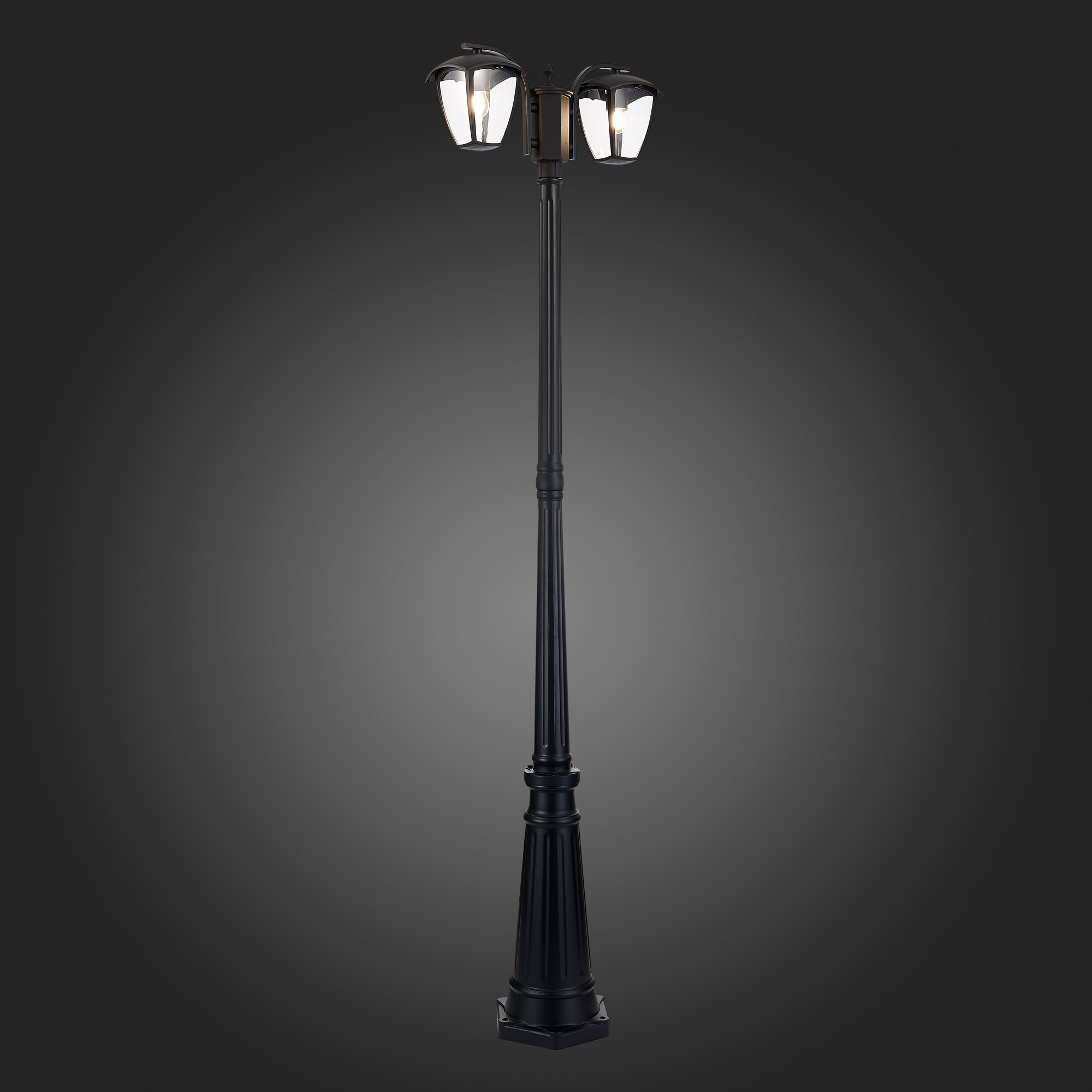 Уличный светильник St Luce SIVINO SL081.405.02, цвет черный;прозрачный - фото 6