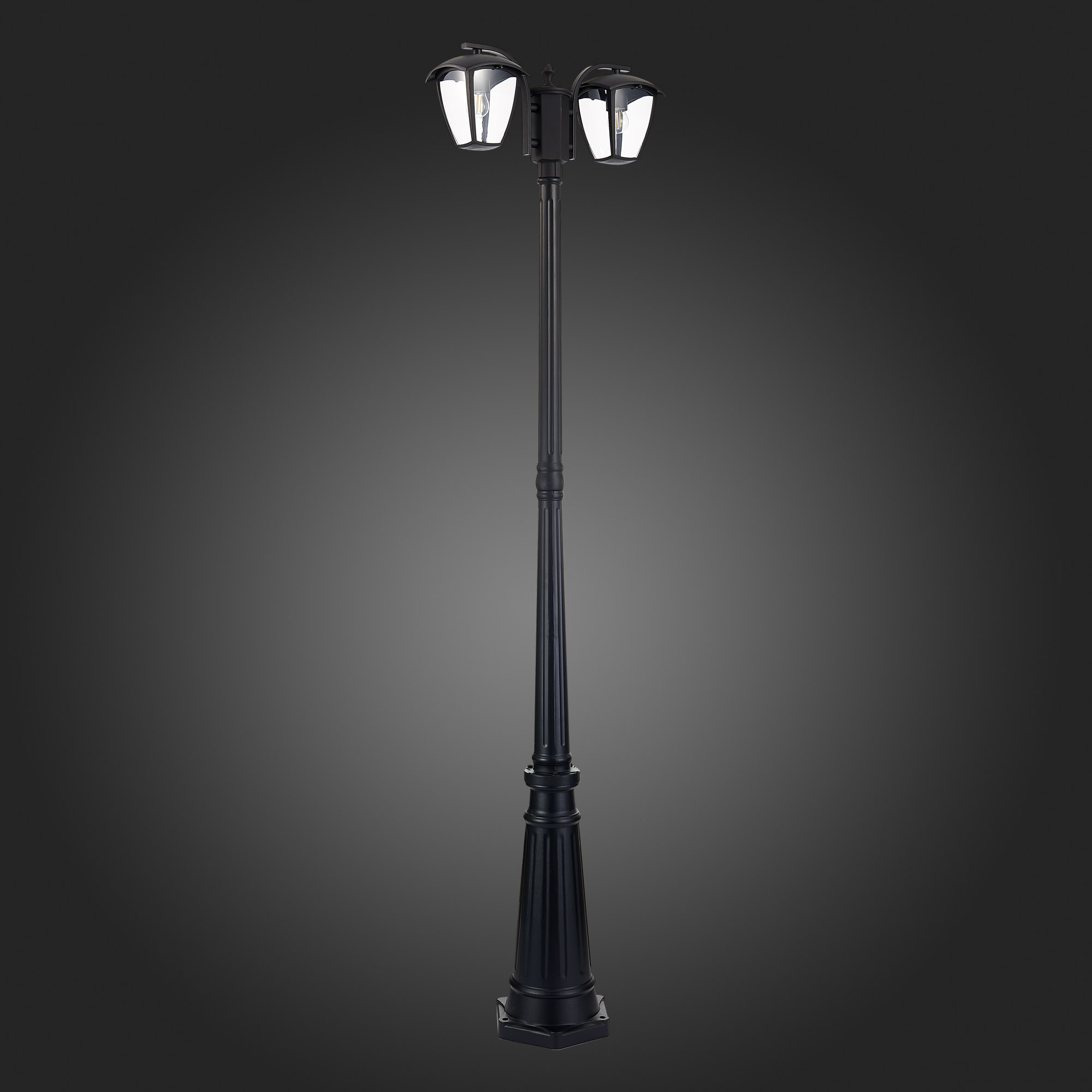 Уличный светильник St Luce SIVINO SL081.405.02, цвет черный;прозрачный - фото 7
