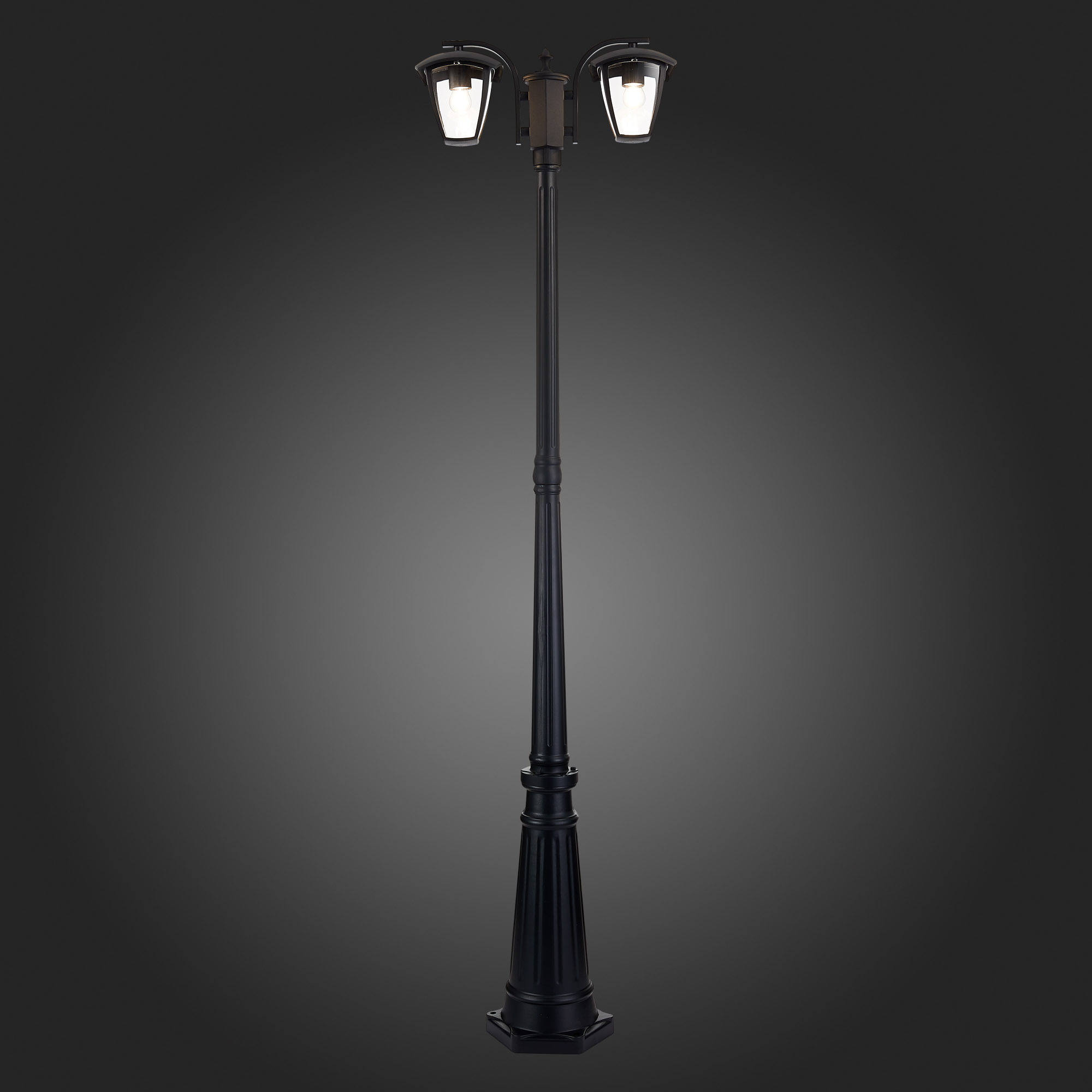 Уличный светильник St Luce SIVINO SL081.405.02, цвет черный;прозрачный - фото 8