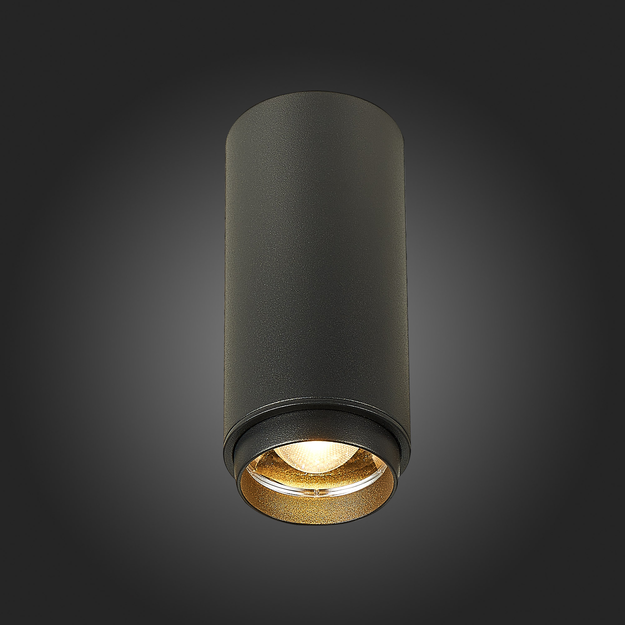 Светильник St Luce ZOOM ST600.432.10, цвет черный - фото 4