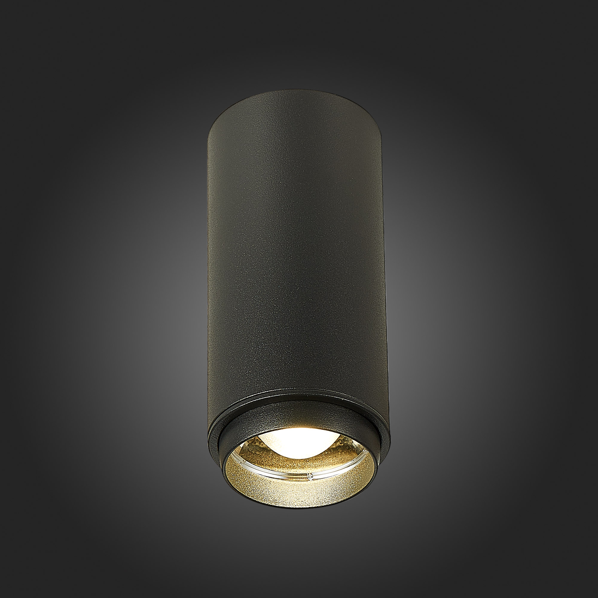 Светильник St Luce ZOOM ST600.442.10, цвет черный - фото 4