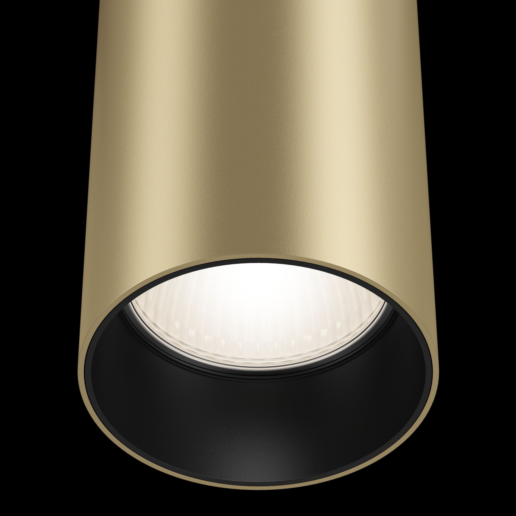 Трековый светильник Maytoni FOCUS TR025-1-GU10-MG, цвет золотистый - фото 4