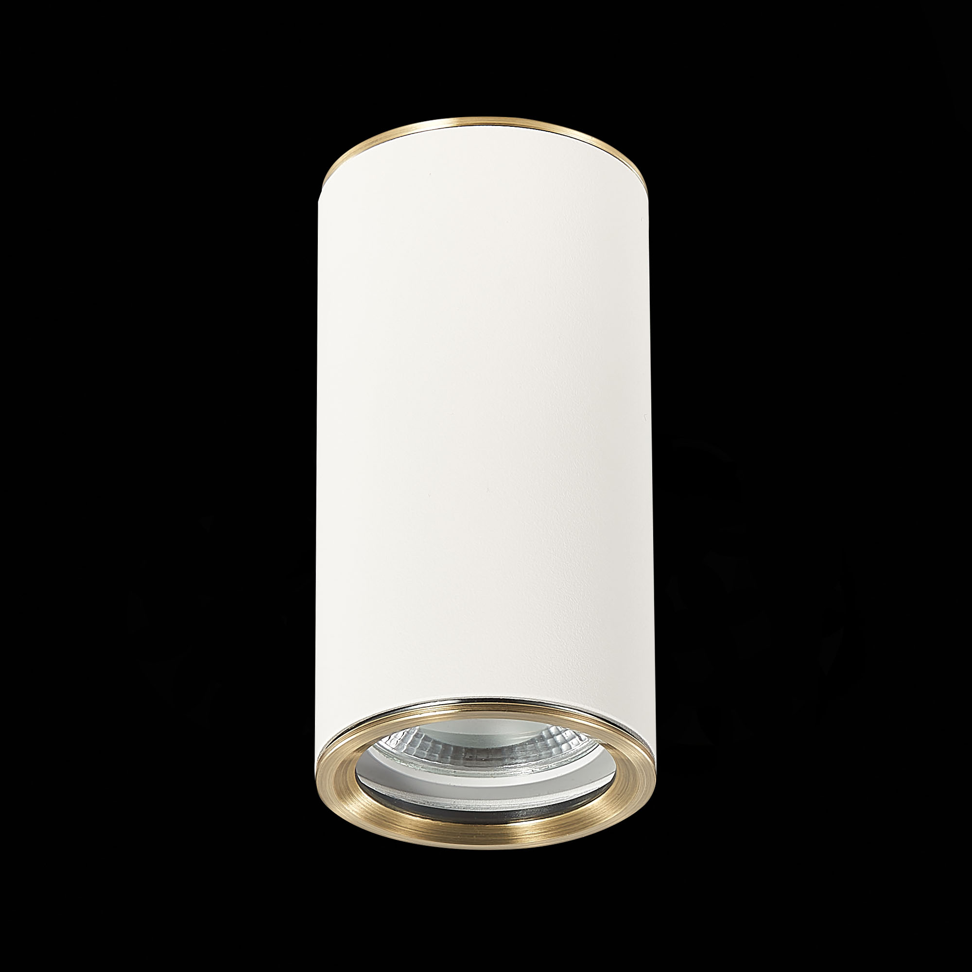 Потолочный светильник St Luce CHOMUS ST111.537.01, цвет белый - фото 5