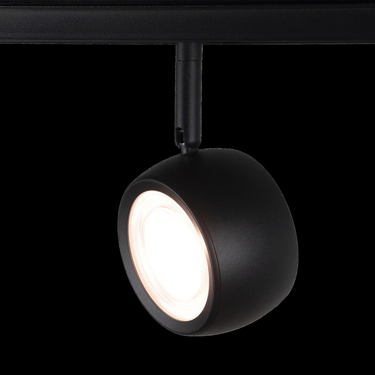 Трековый светильник Loft It TECH T034-10, цвет черный - фото 3