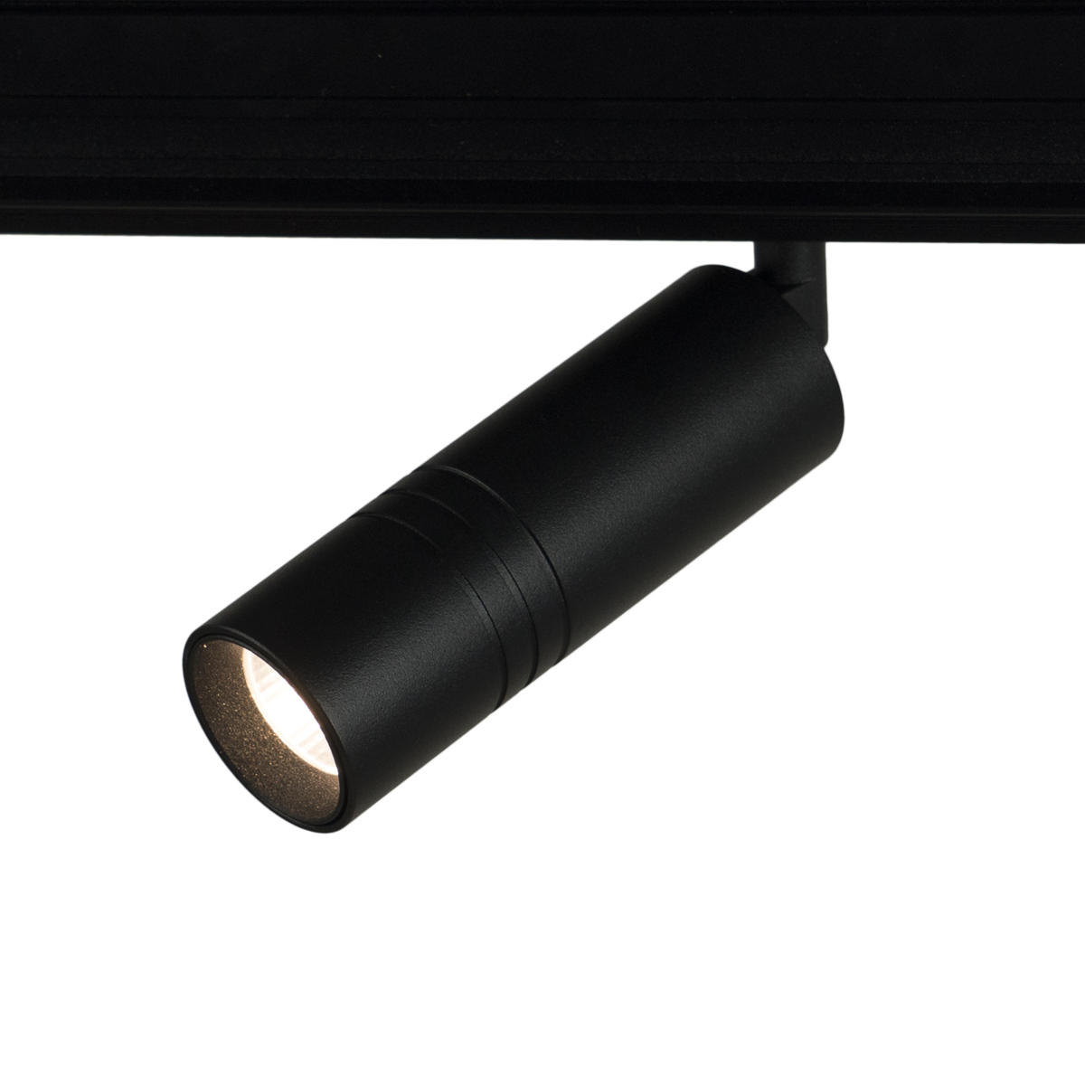 Трековый светильник Loft It TECH T105-12, цвет черный - фото 4