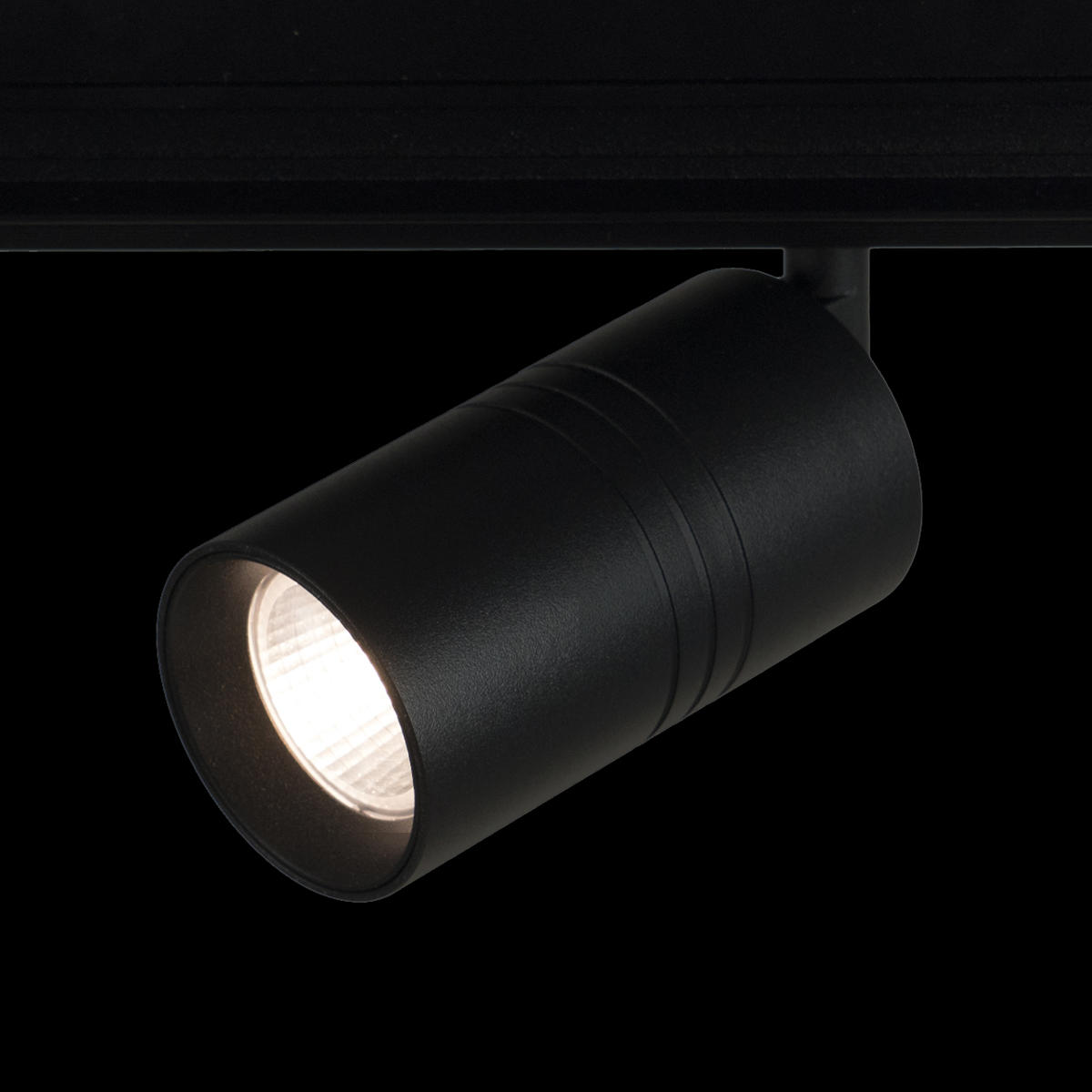 Трековый светильник Loft It TECH T105-15, цвет черный - фото 6