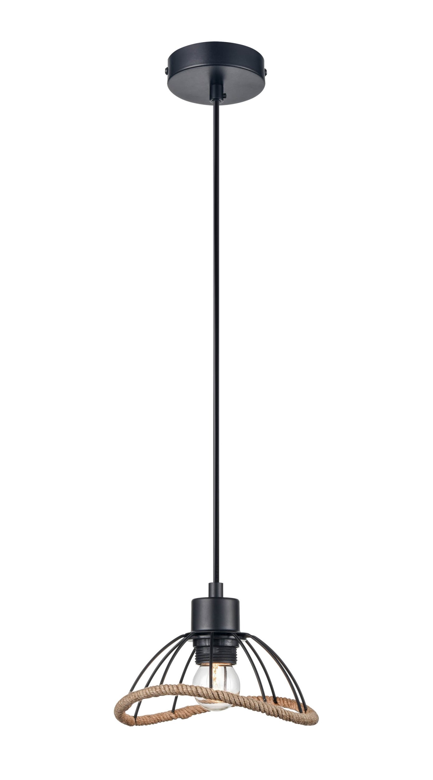 Подвесной светильник Vele Luce FORMULA VL6482P01, цвет черный;бежевый - фото 1